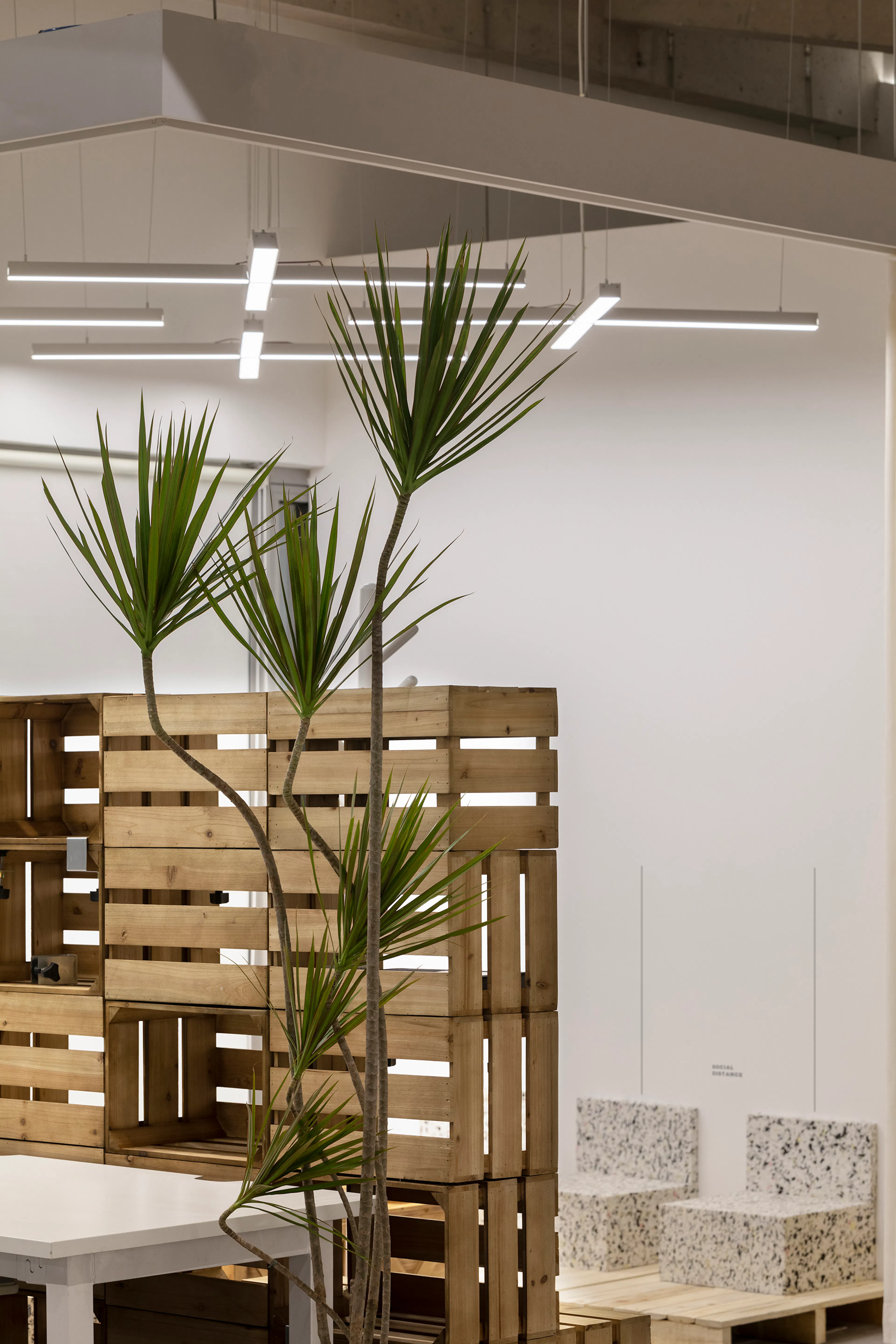 Ollie Studio Workplace Interior Design — 33