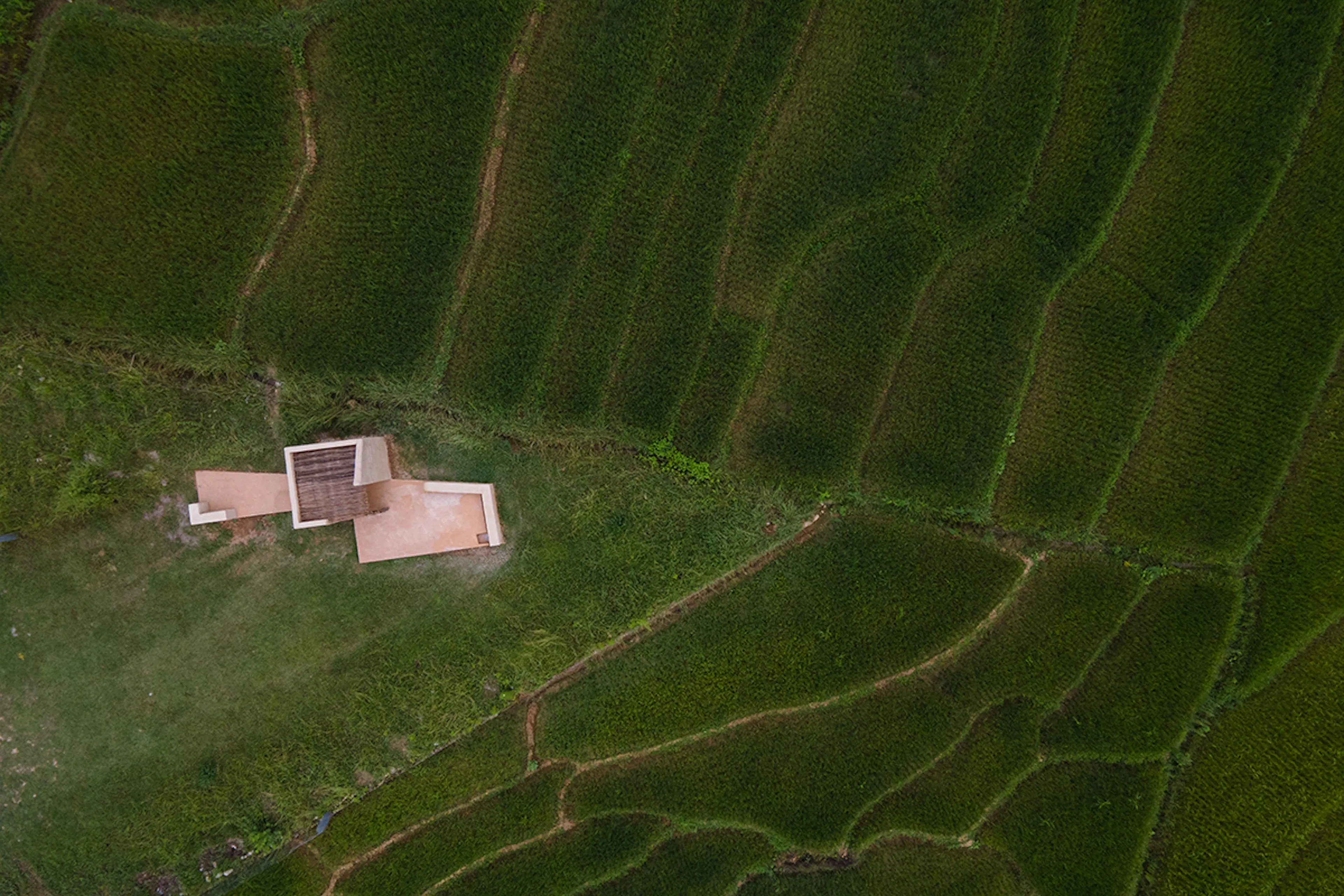 The Abrahamic Family House — 49