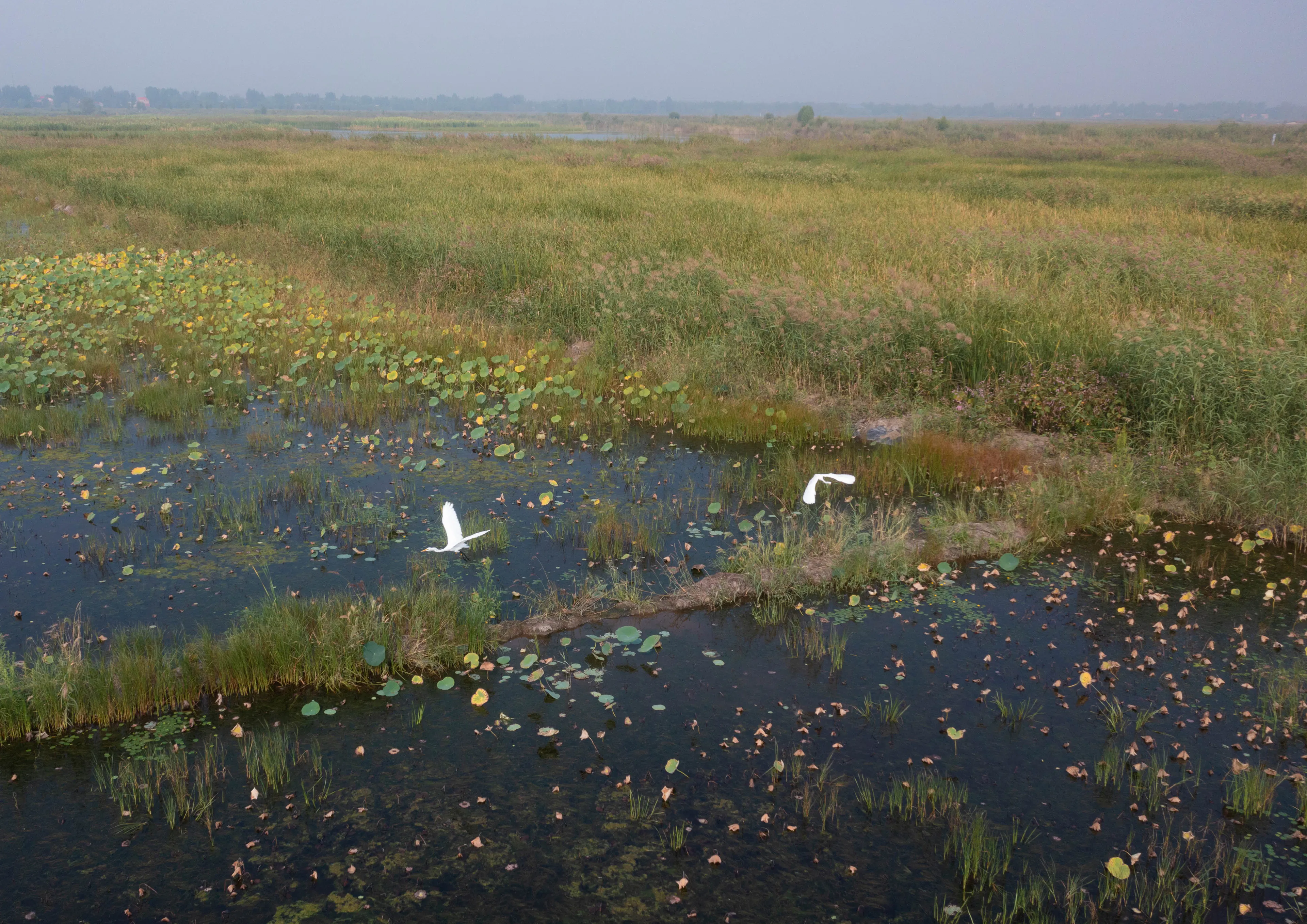 A Waterfront Homestead Reborn: Restorative Design in the Yangtze Delta Polders — 4