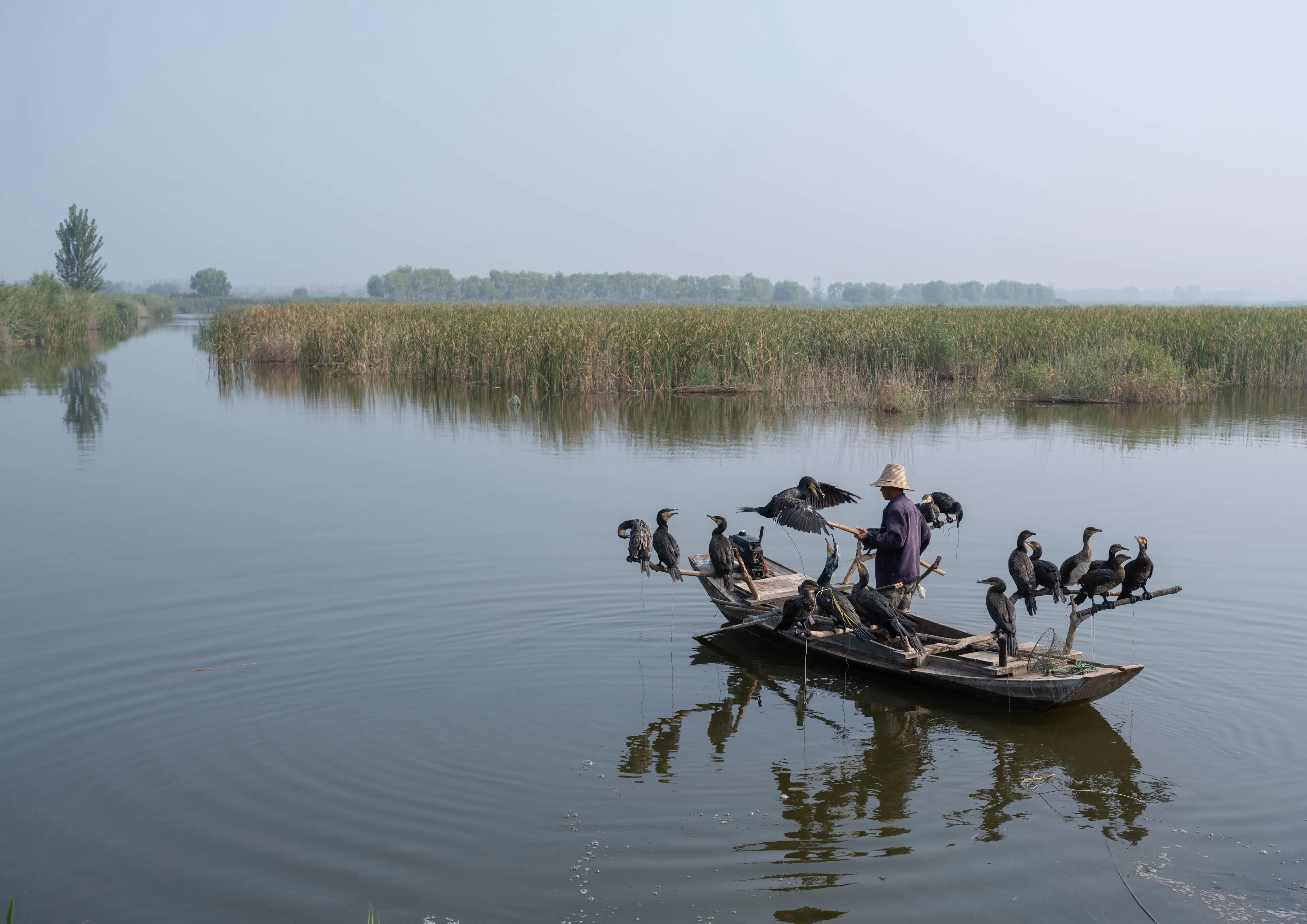 A Waterfront Homestead Reborn: Restorative Design in the Yangtze Delta Polders — 5