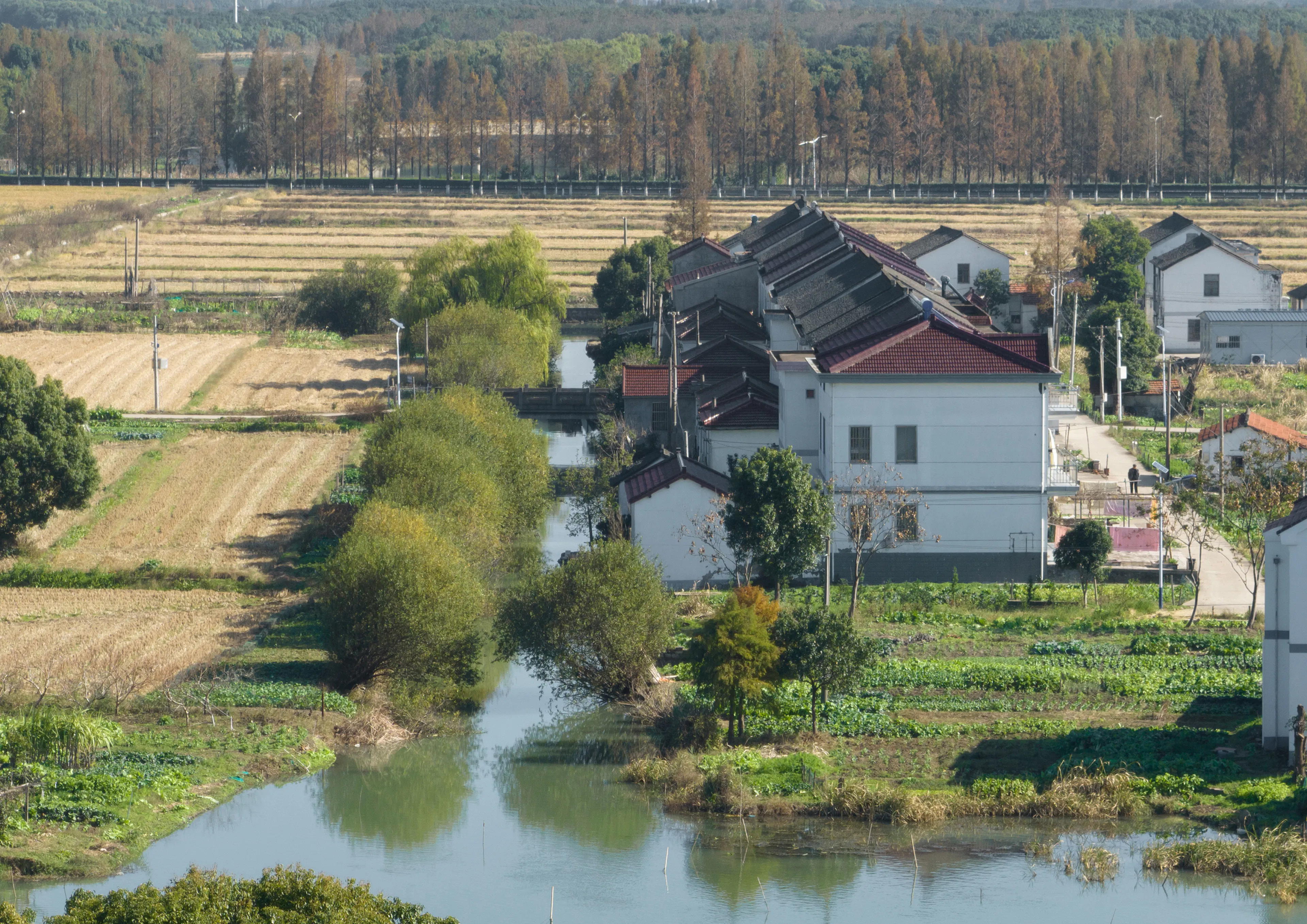 A Waterfront Homestead Reborn: Restorative Design in the Yangtze Delta Polders — 8