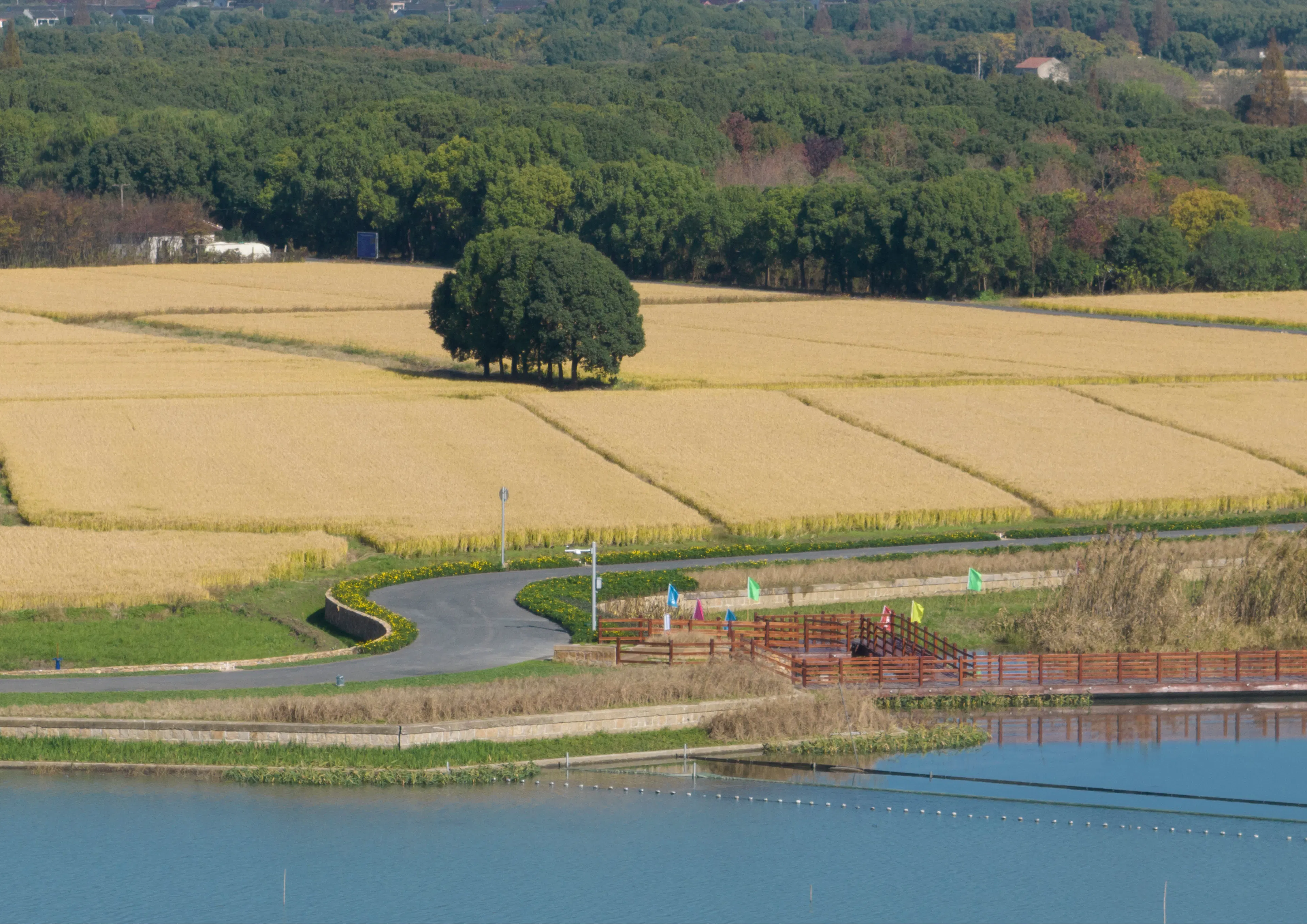 A Waterfront Homestead Reborn: Restorative Design in the Yangtze Delta Polders — 7