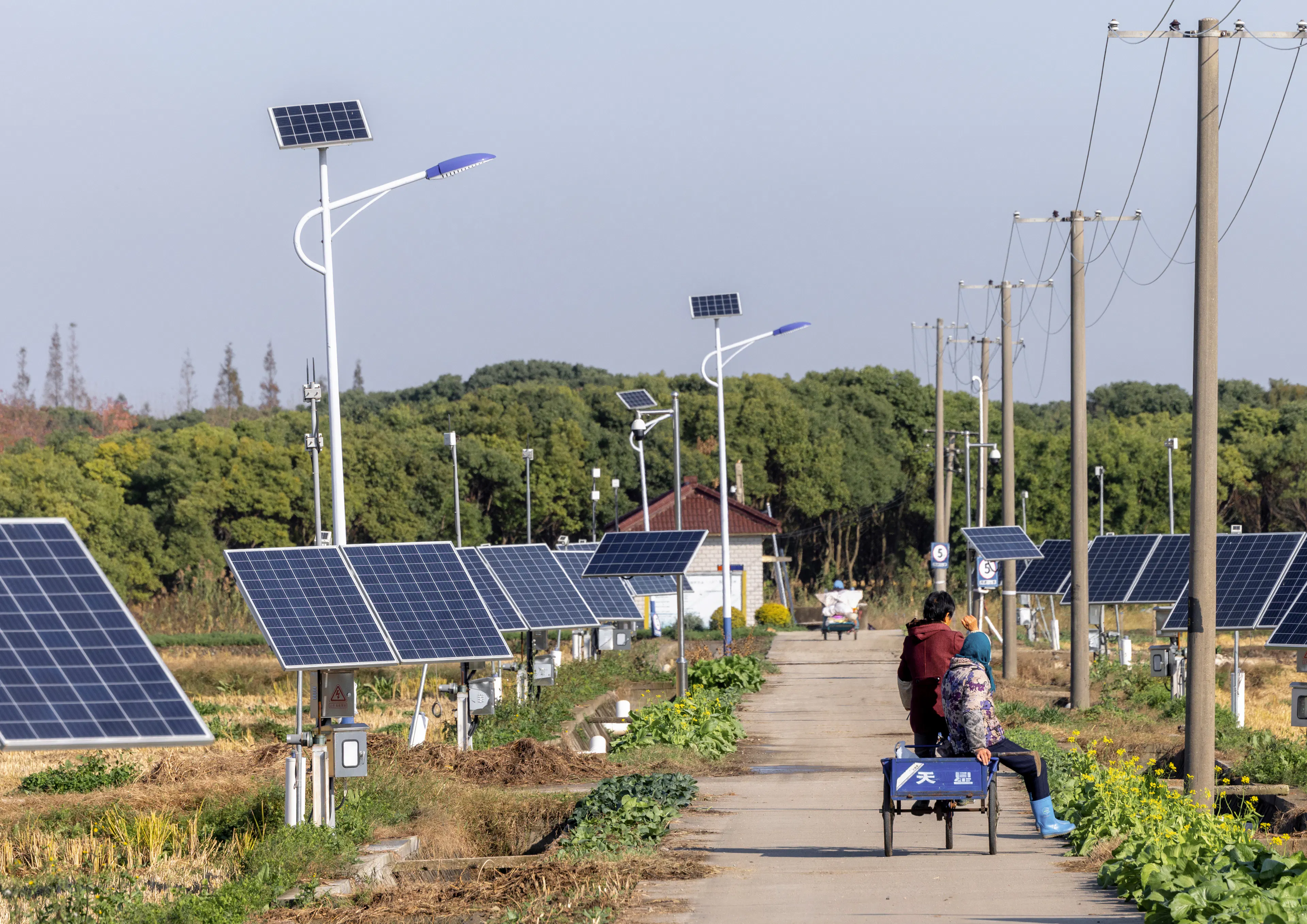 A Waterfront Homestead Reborn: Restorative Design in the Yangtze Delta Polders — 11