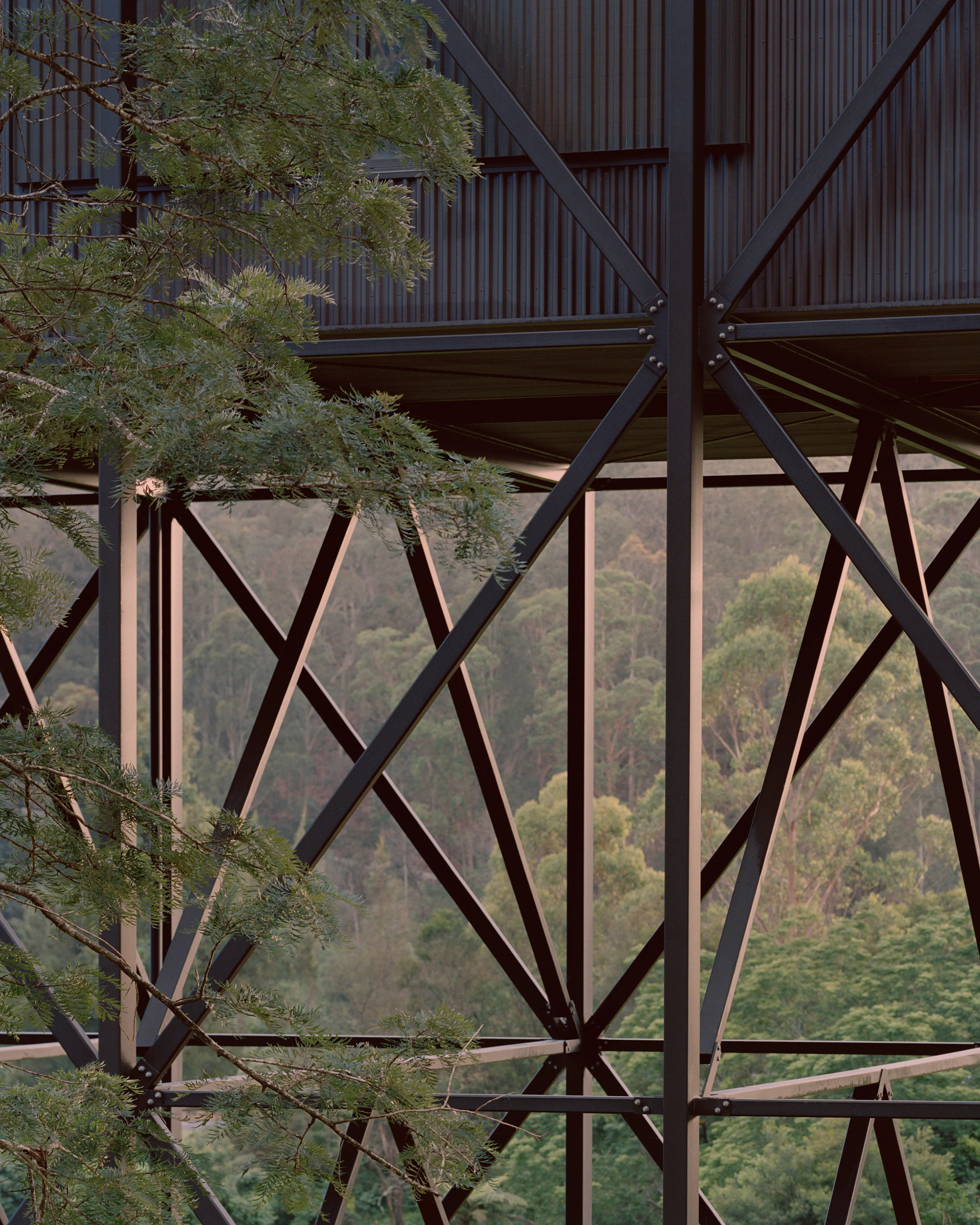 Bundanon Art Museum + Bridge — 10