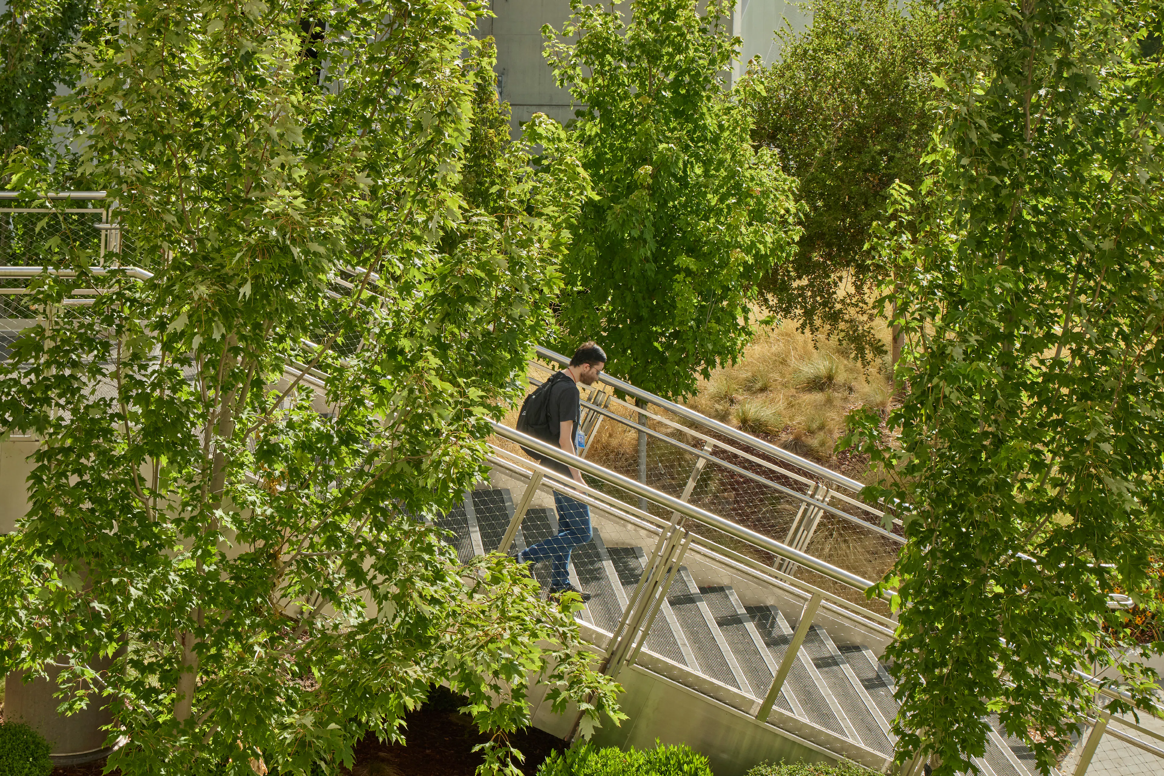 Workday + BART Innovation Plaza — 11