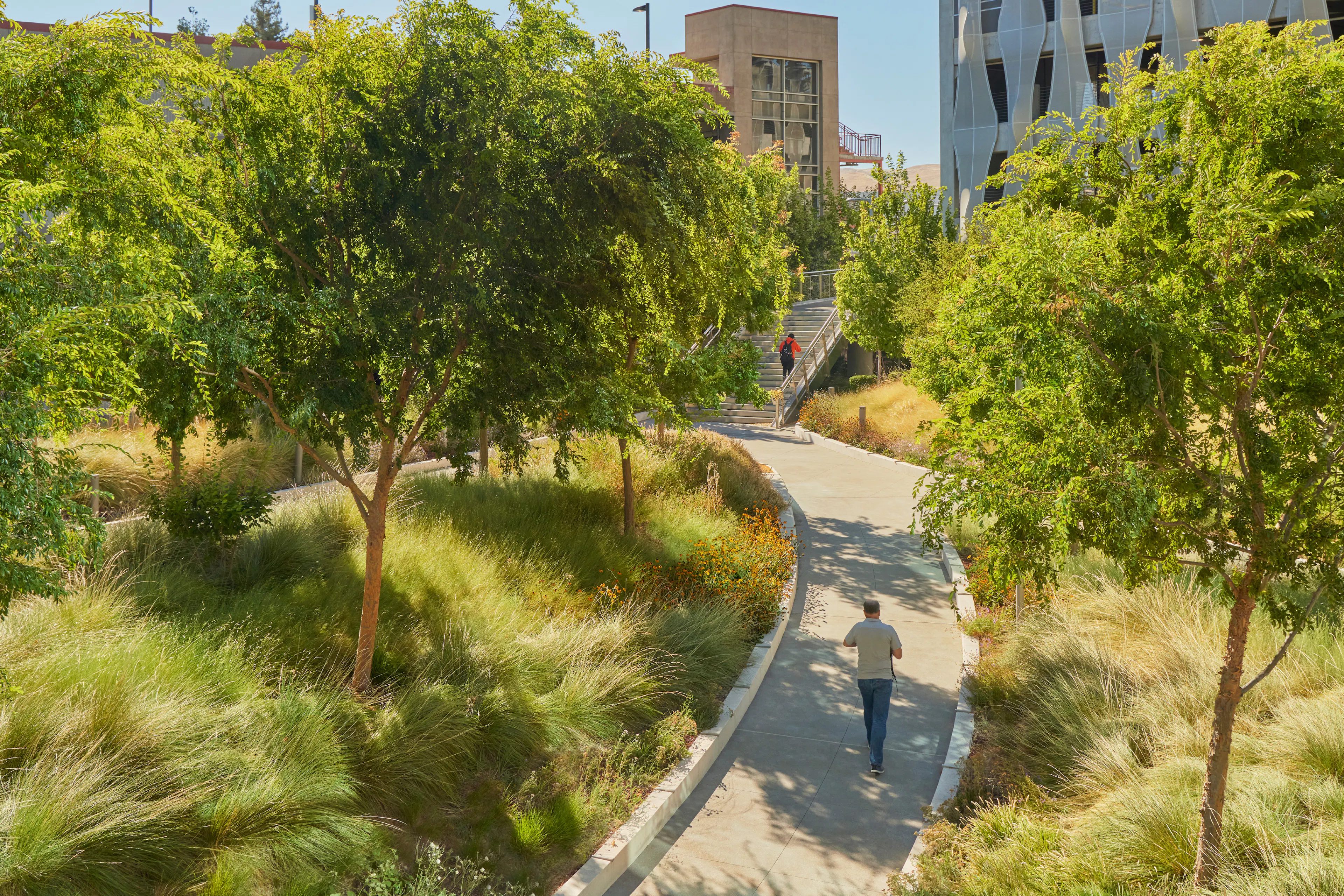 Workday + BART Innovation Plaza — 1
