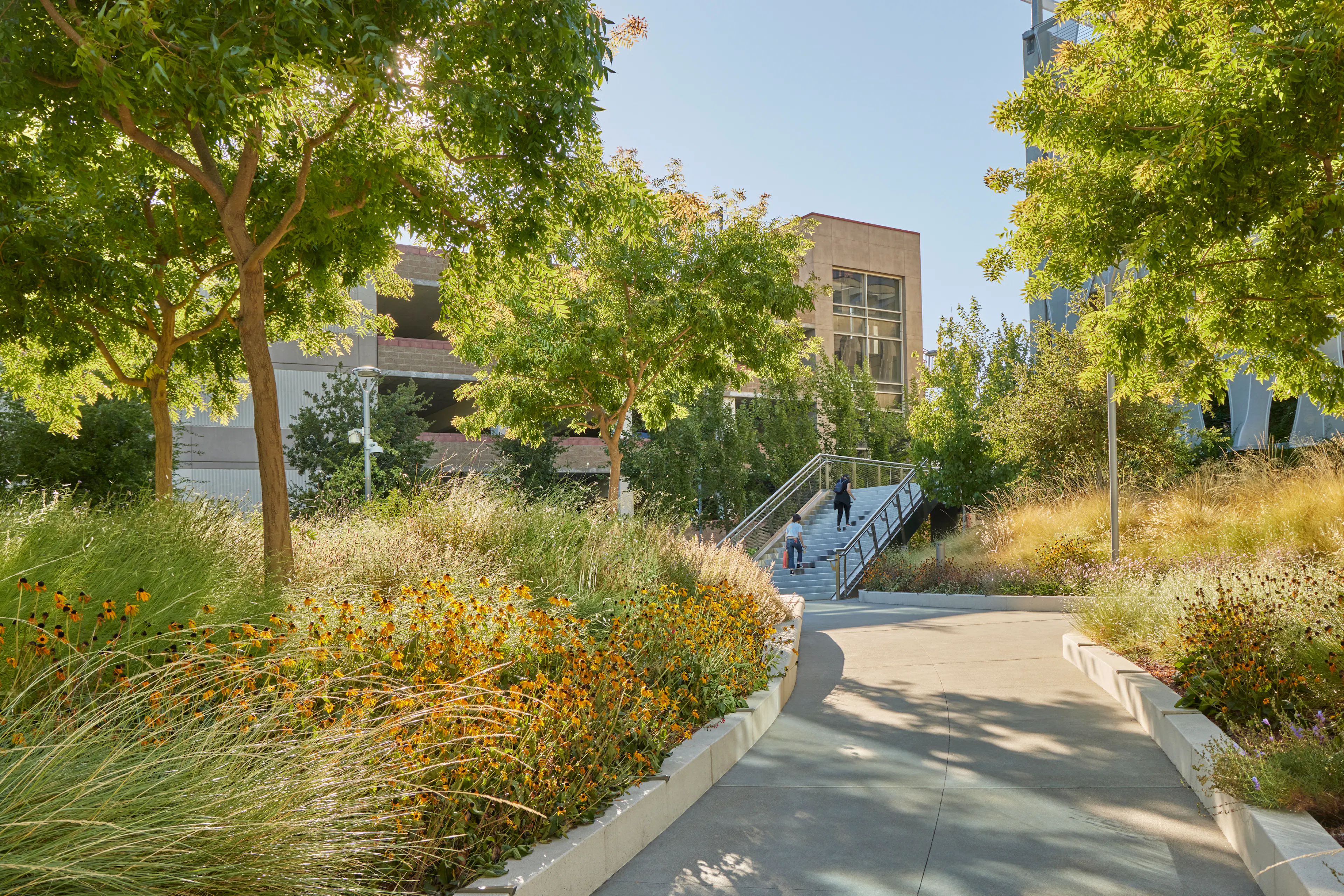 Workday + BART Innovation Plaza — 2