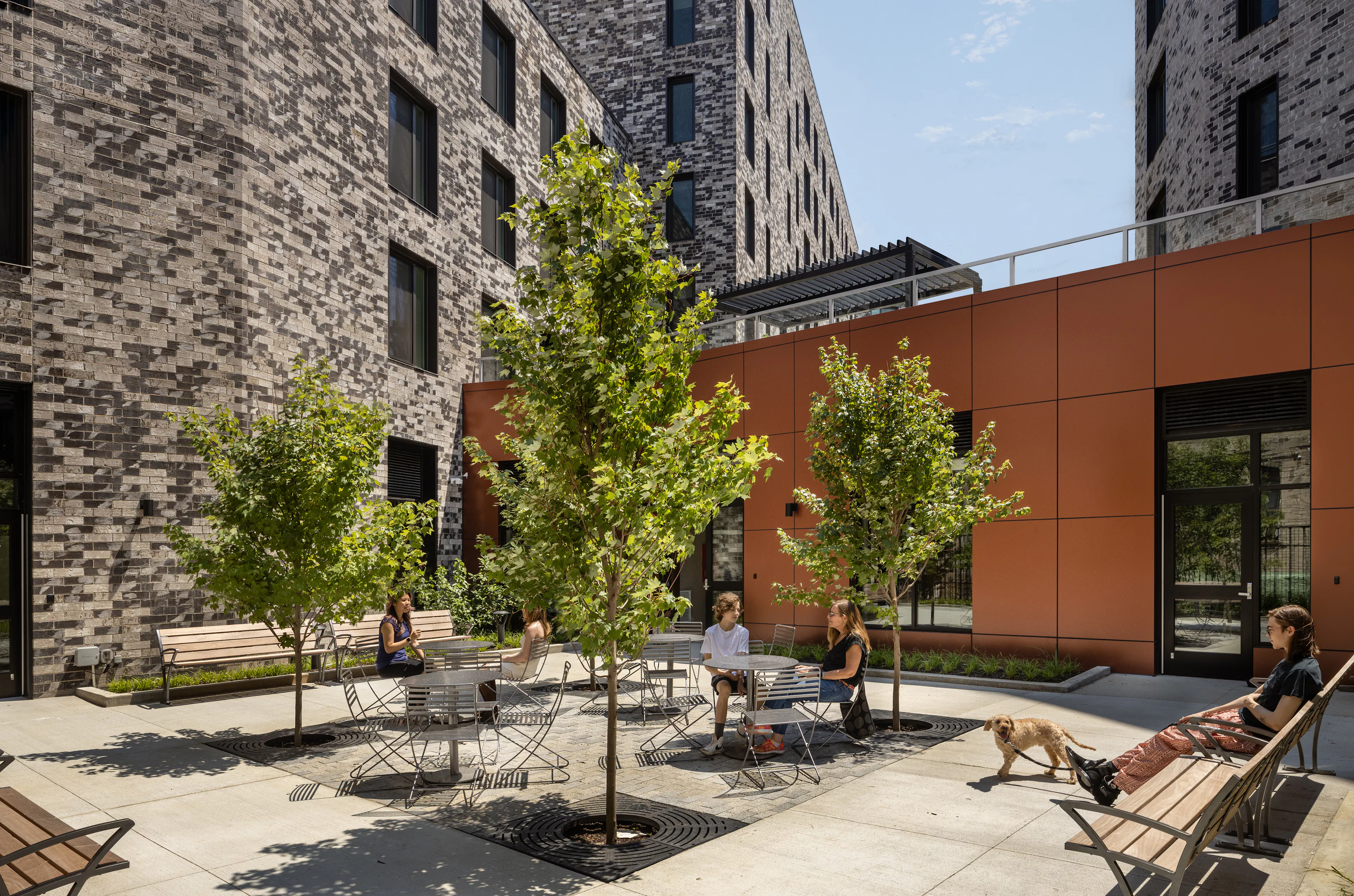 Vital Brookdale — 8