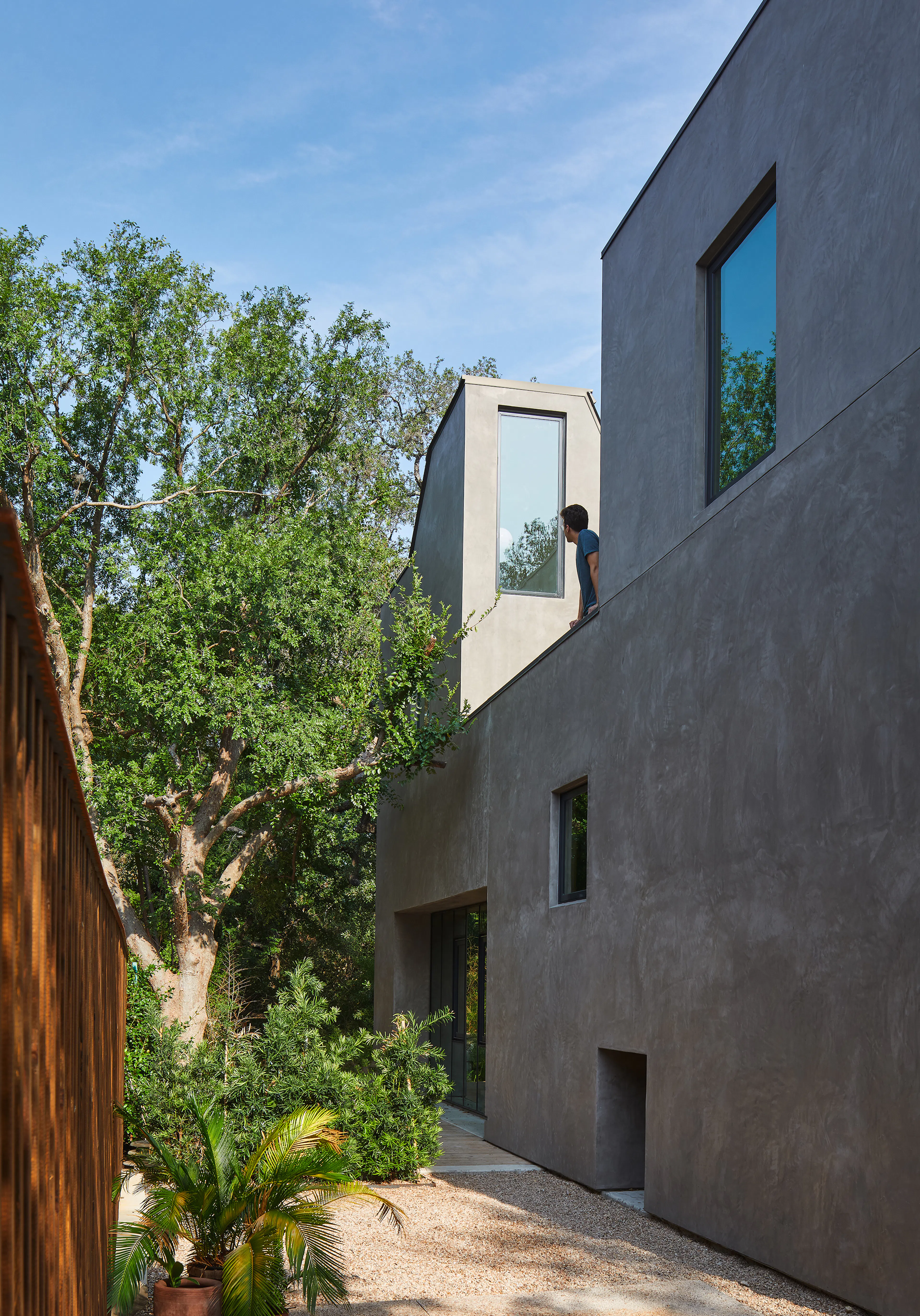 Little Tiger Chinese Immersion School — 3