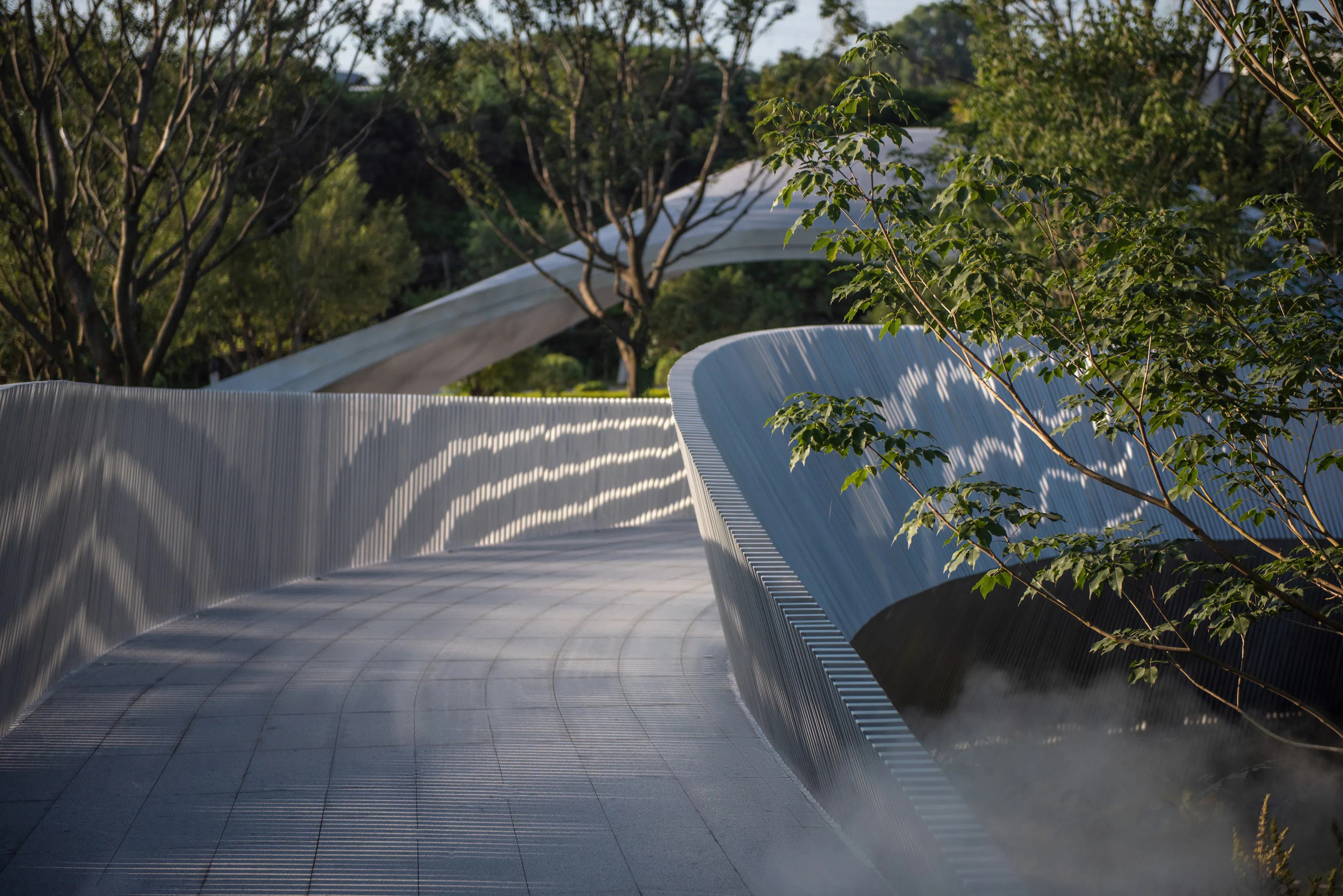 Eucalyptus Society Garden — 11