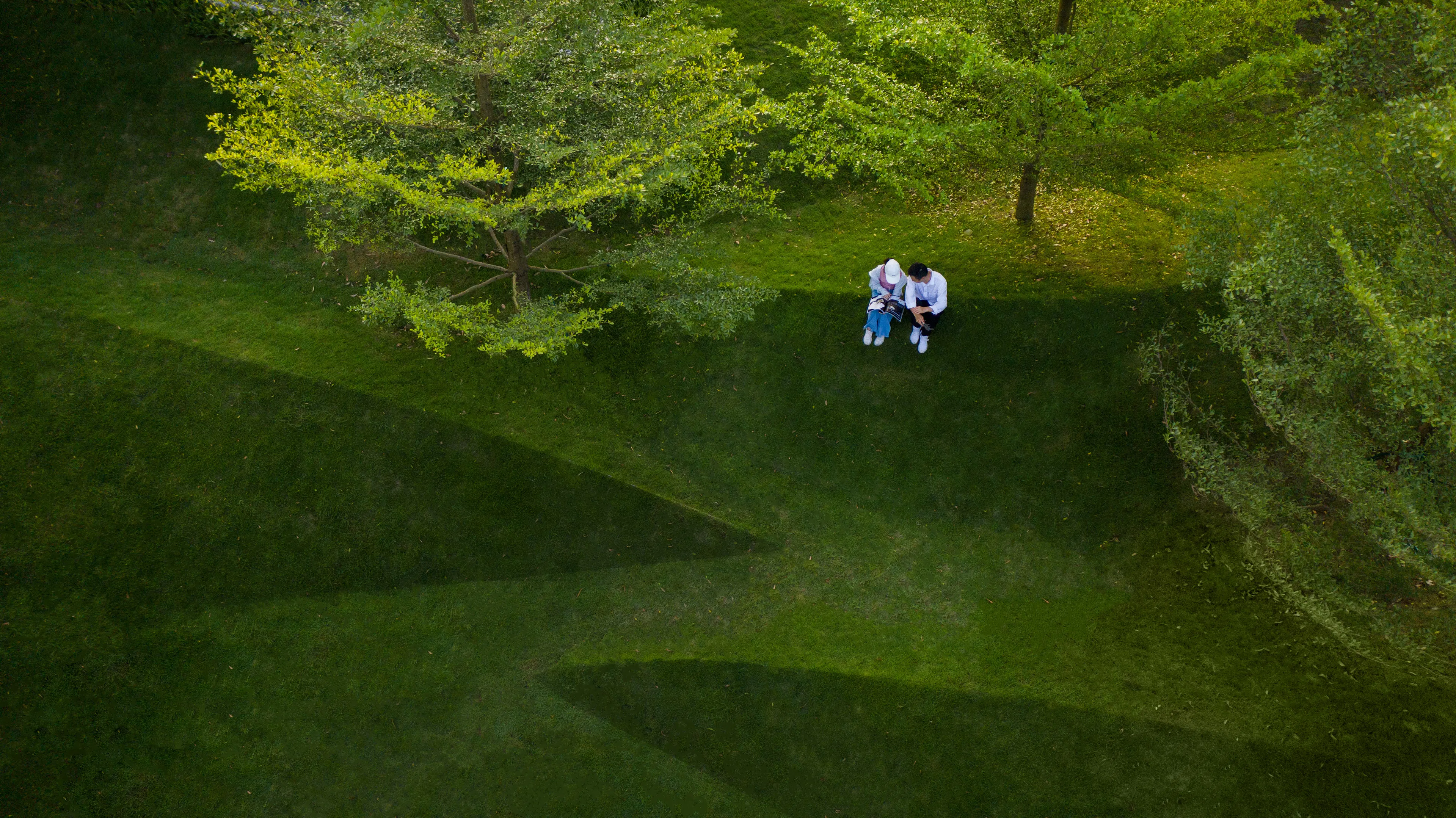 Eucalyptus Society Garden — 7