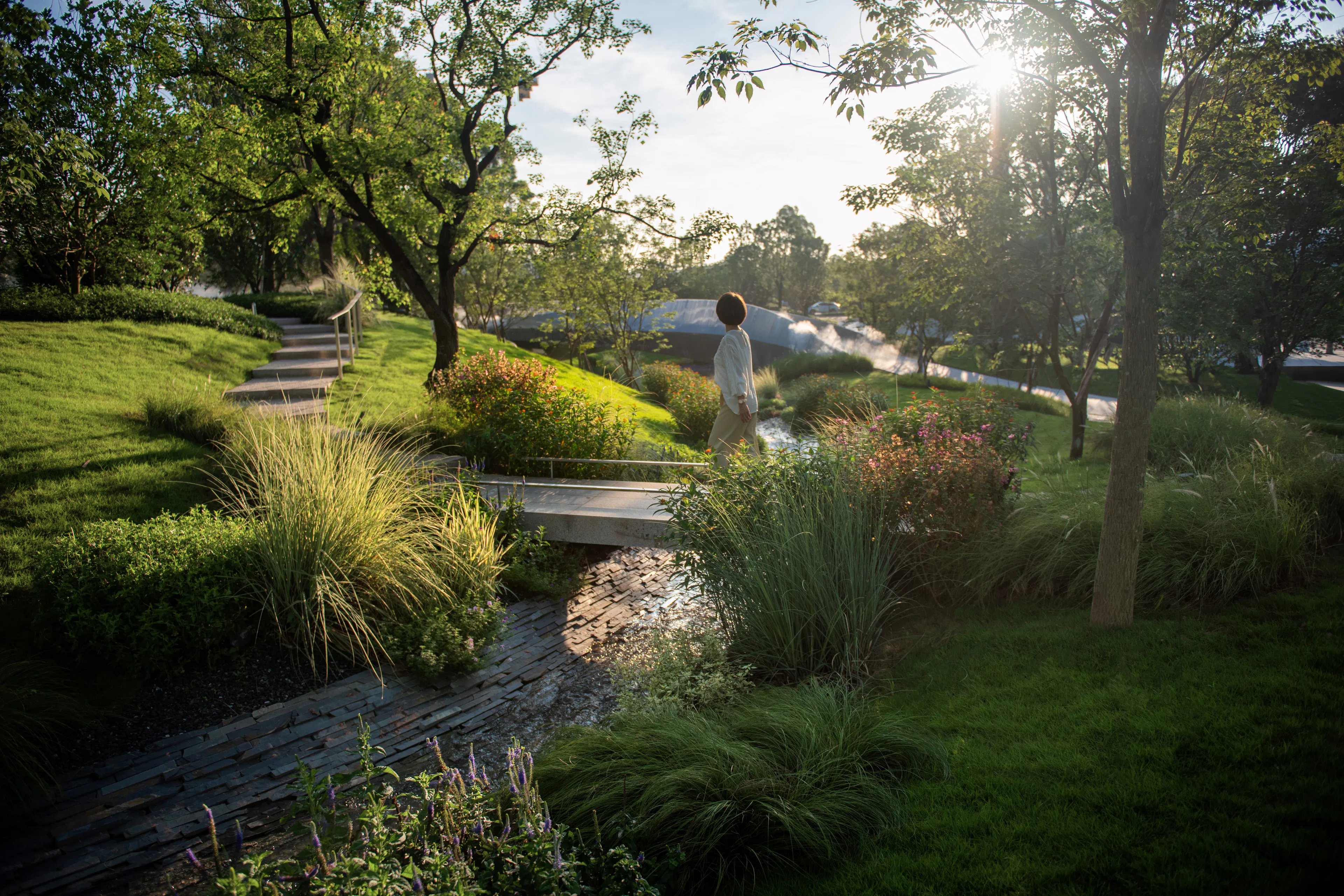 Eucalyptus Society Garden — 9