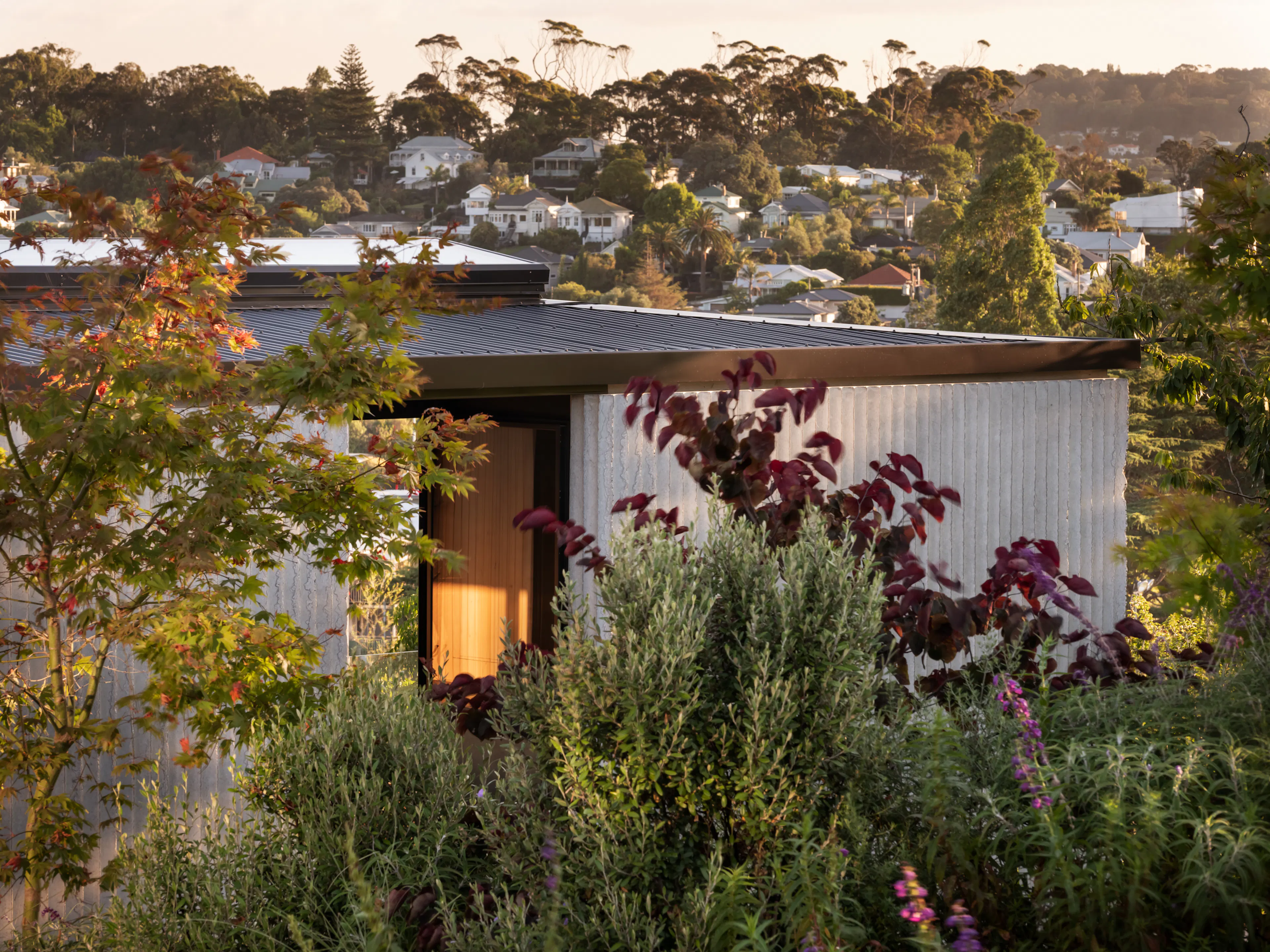 Lightly Weighted — 27