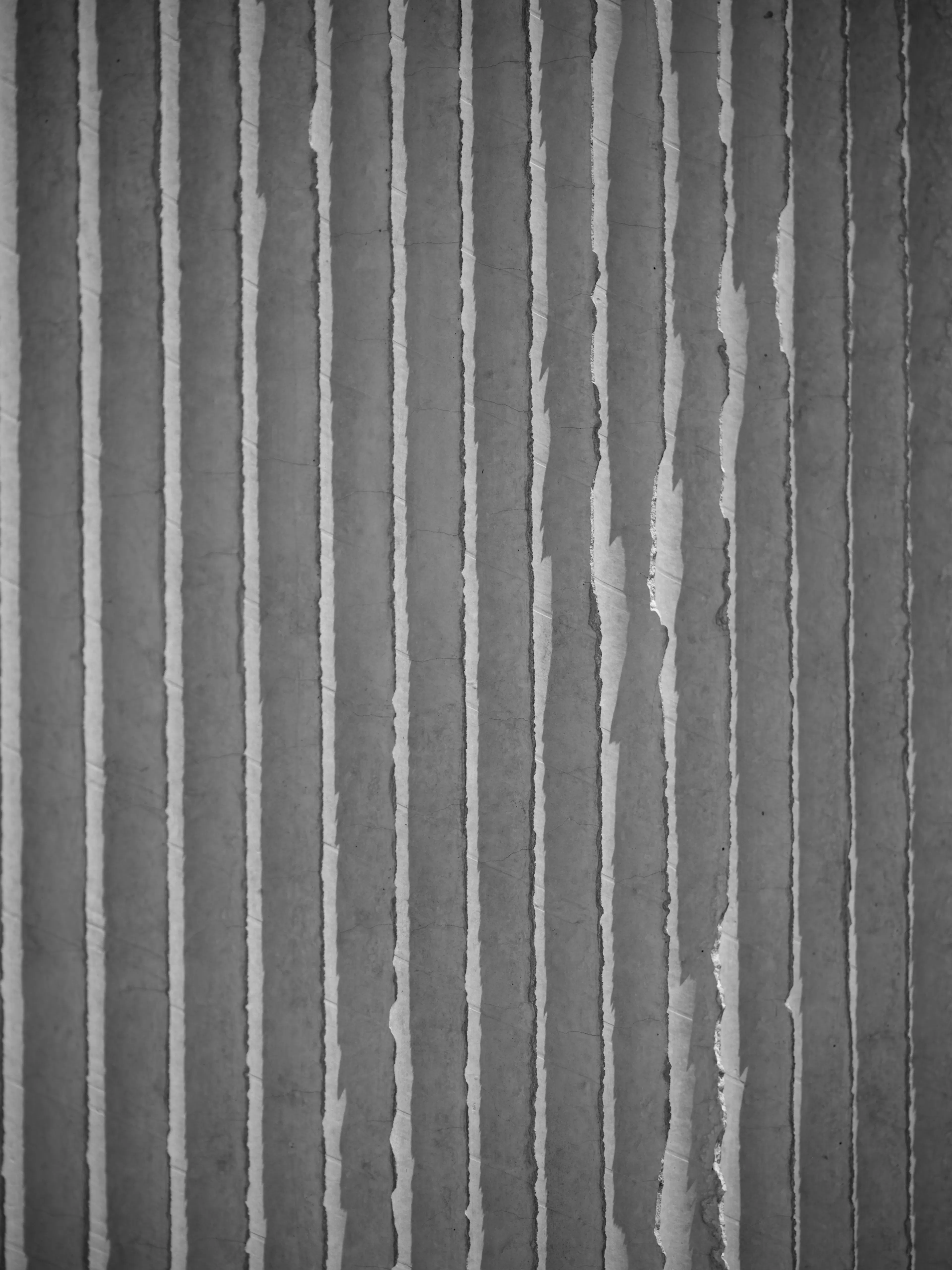 Lightly Weighted — 2