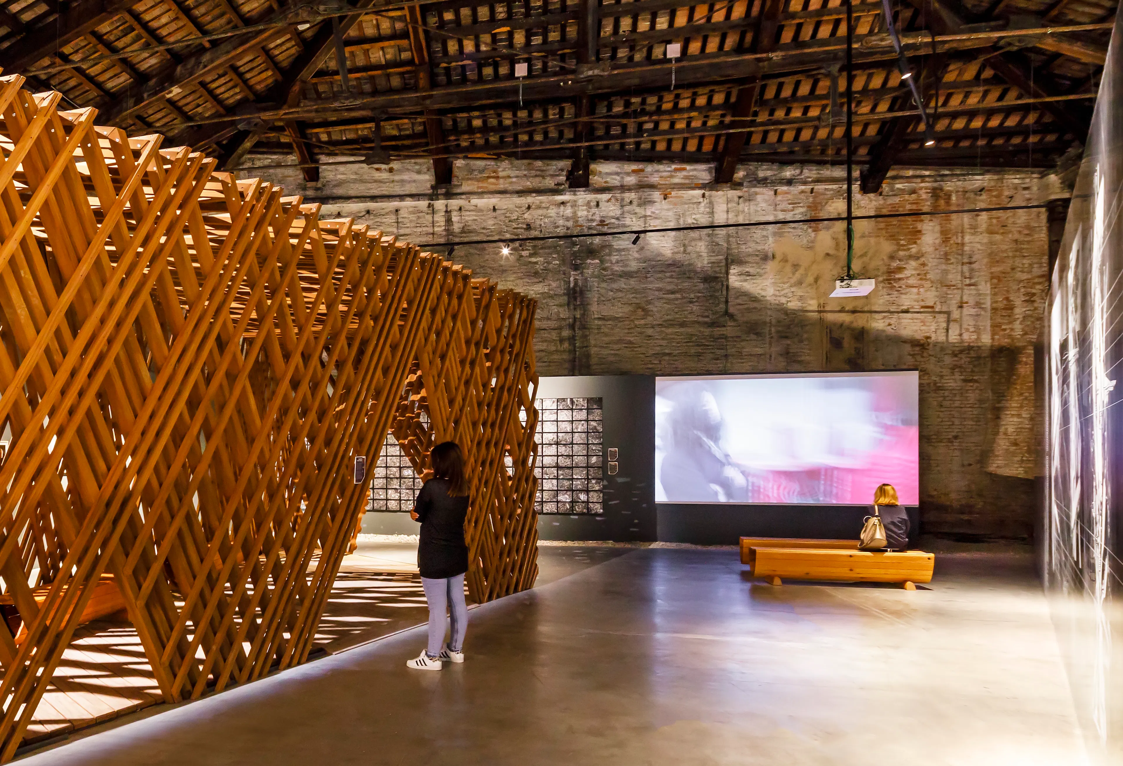 Learning from Trees — 10