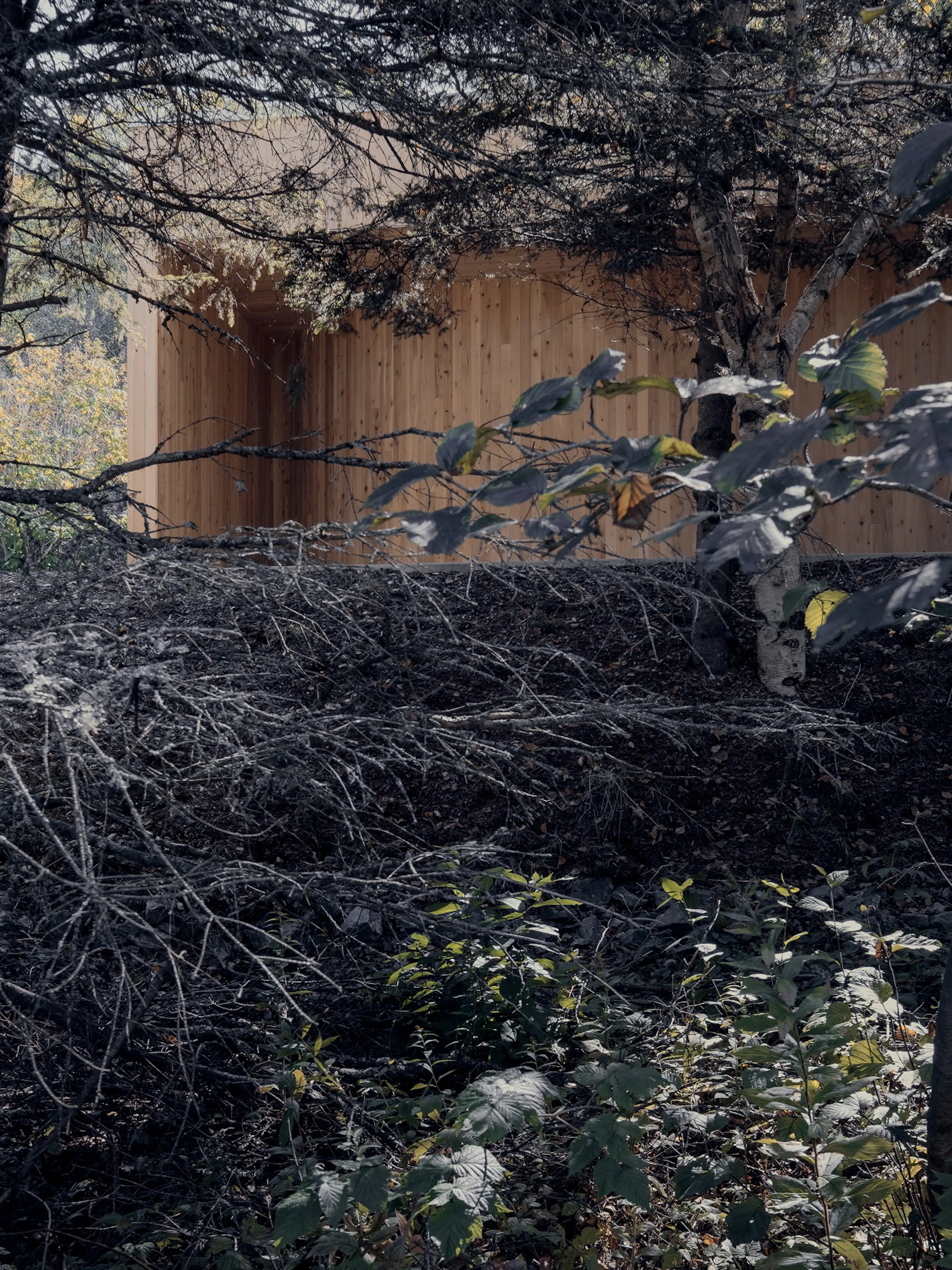 Sqotek Shelter — 3