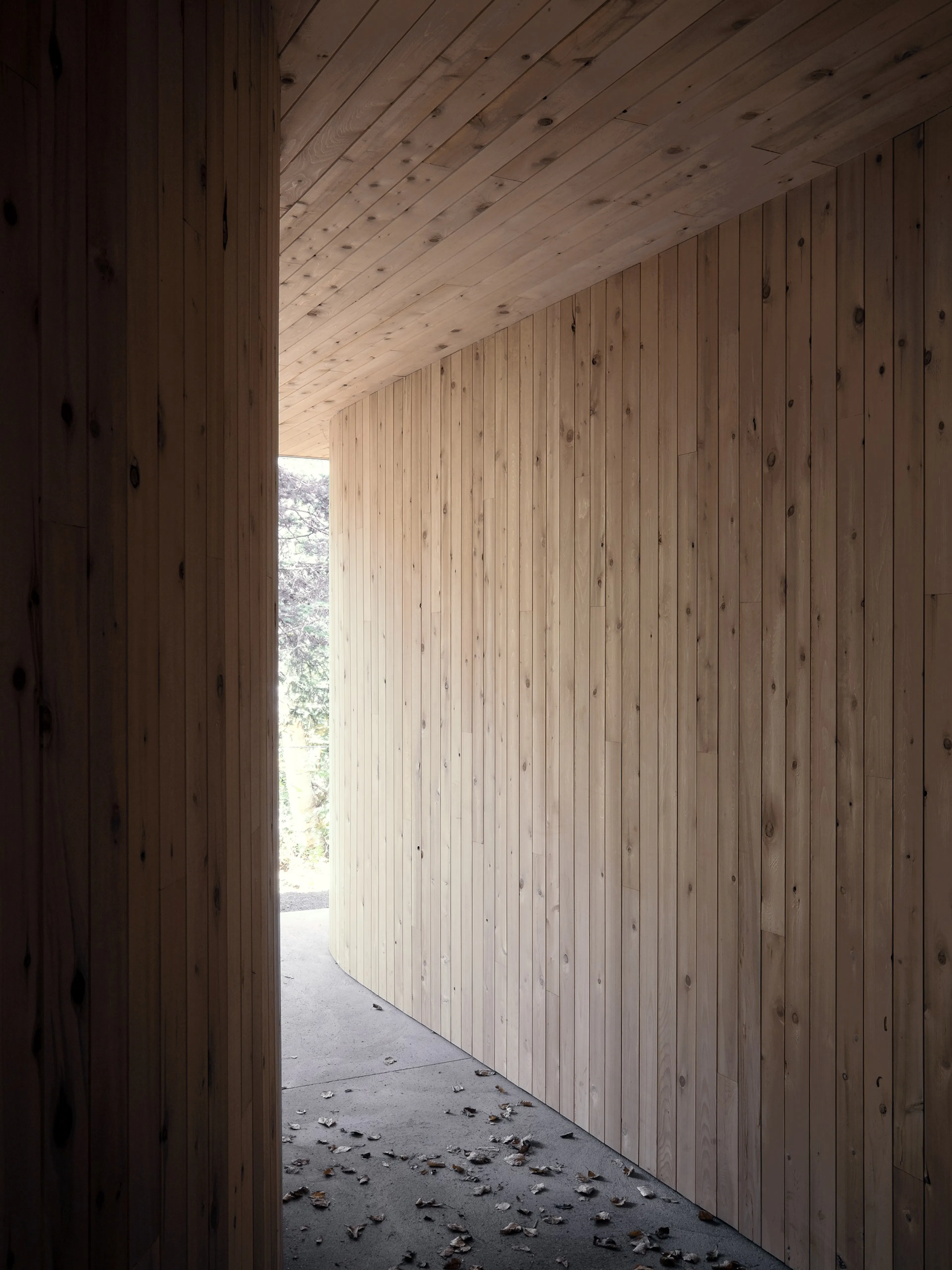 Sqotek Shelter — 6