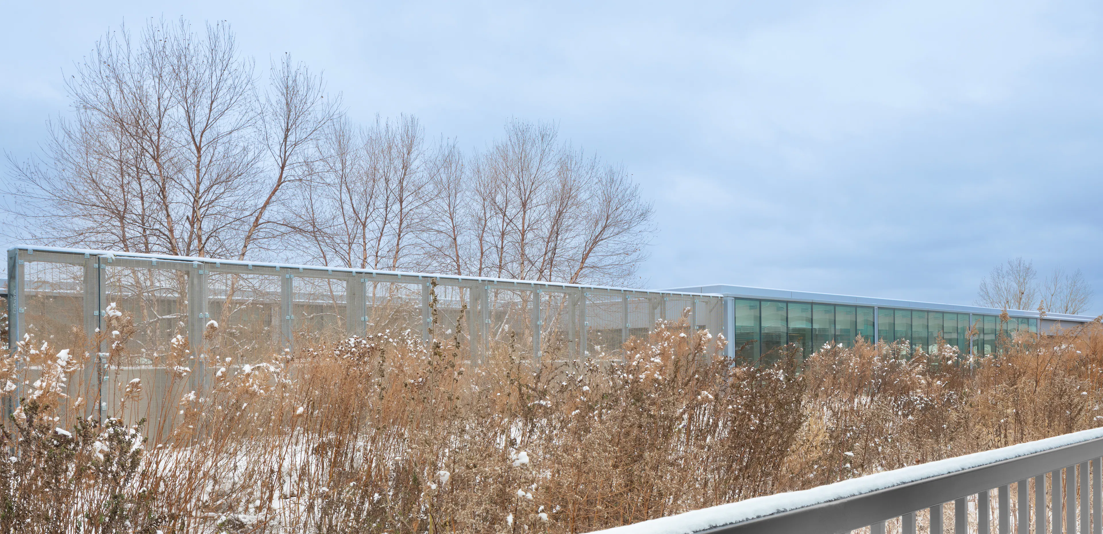 Guildwood GO Station — 11