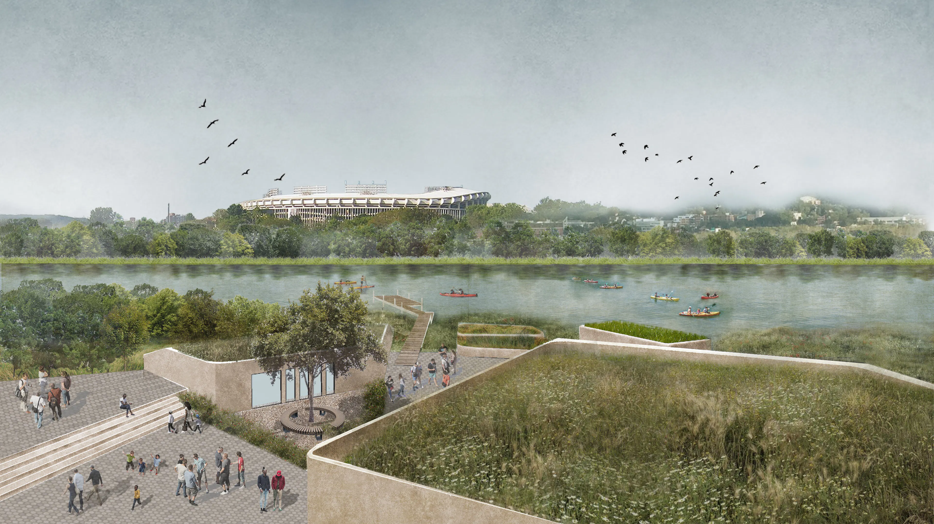 Kingman Island — 9