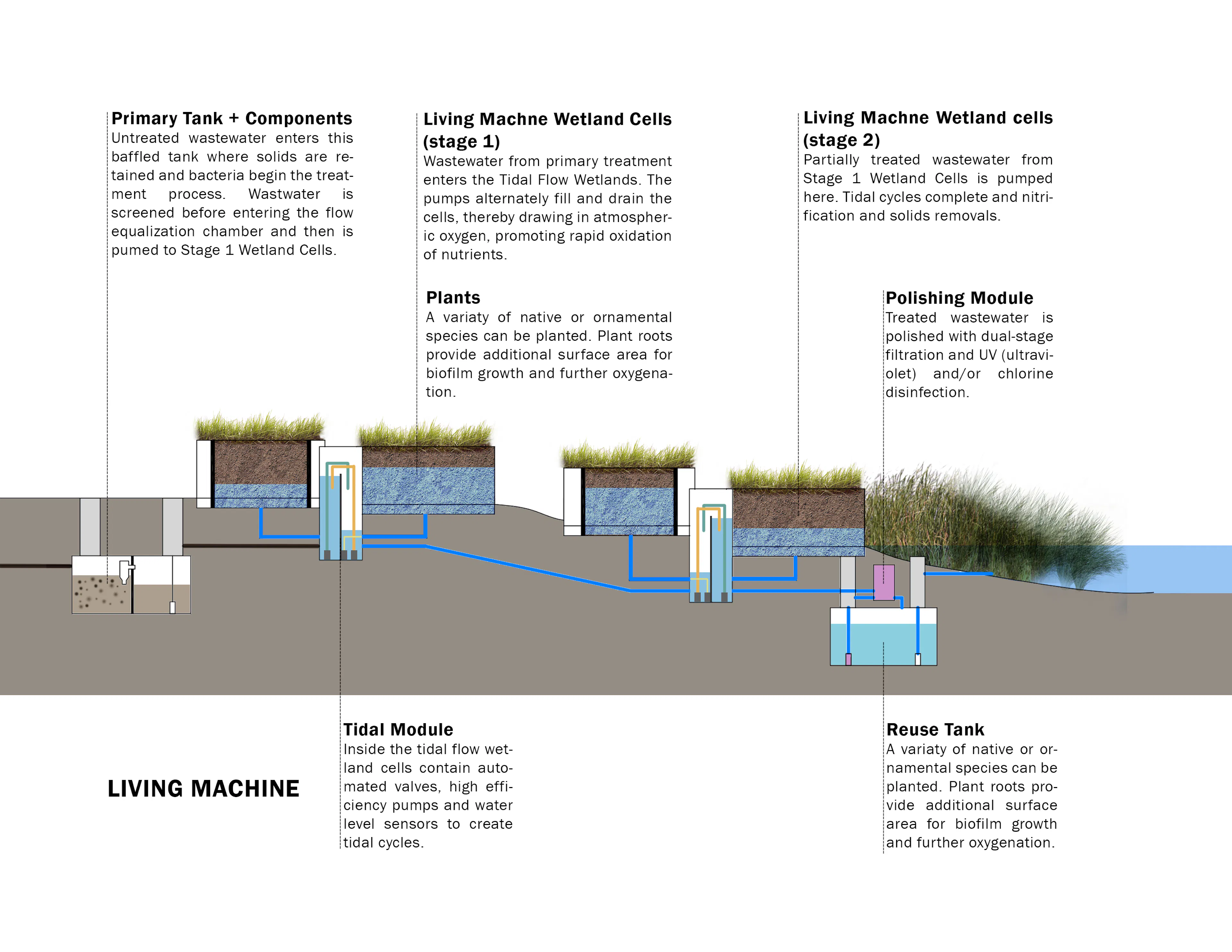 Kingman Island — 8