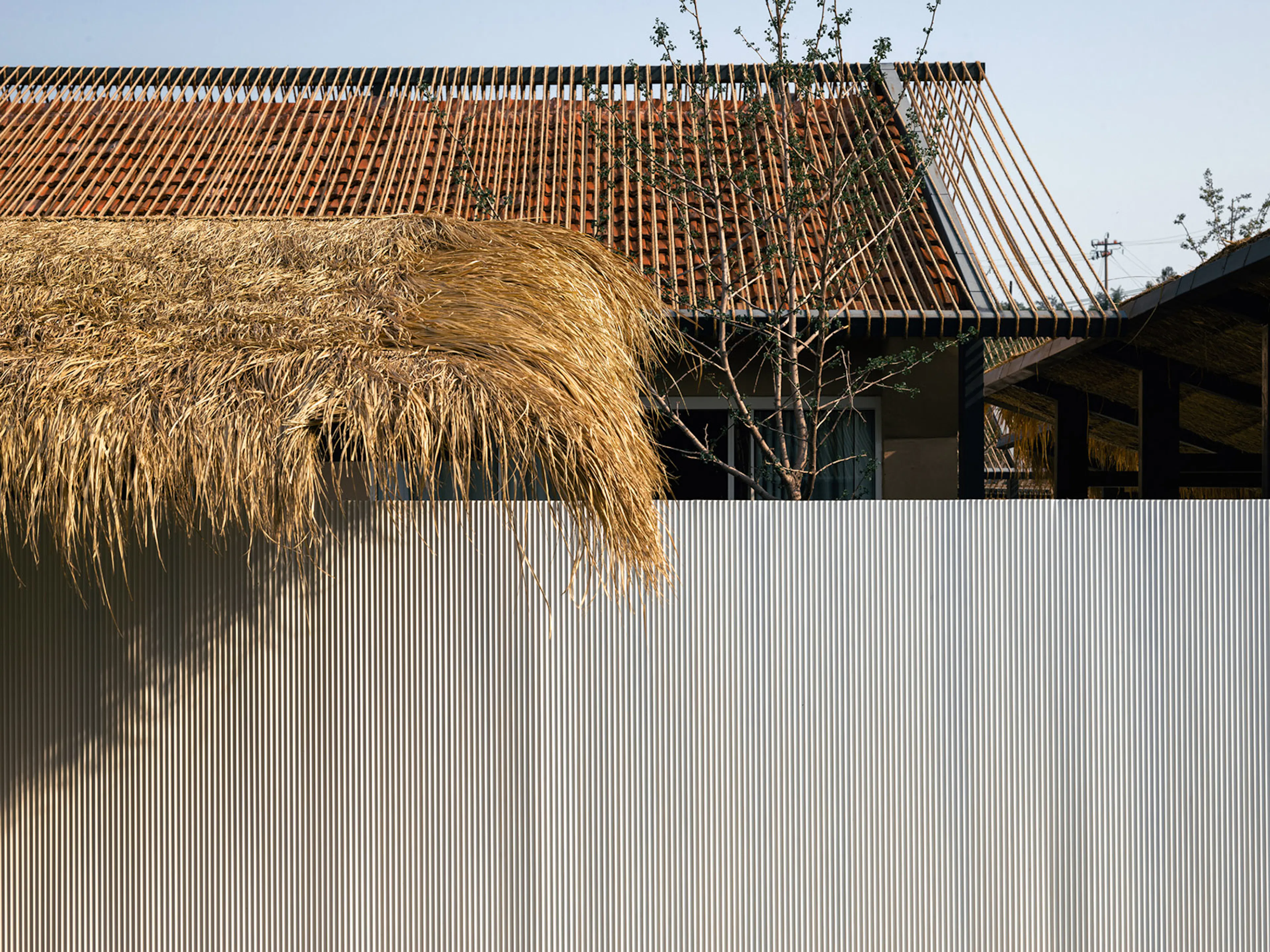 Beijing MM Farm — 14