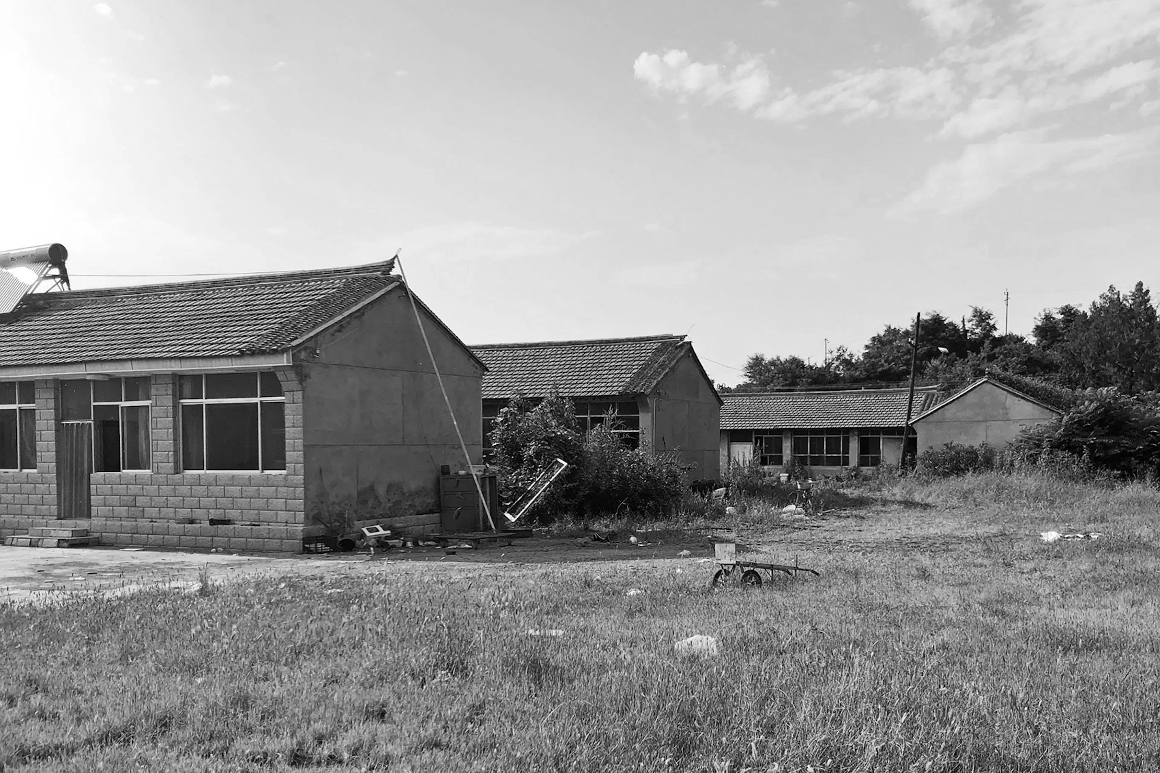 Beijing MM Farm — 35