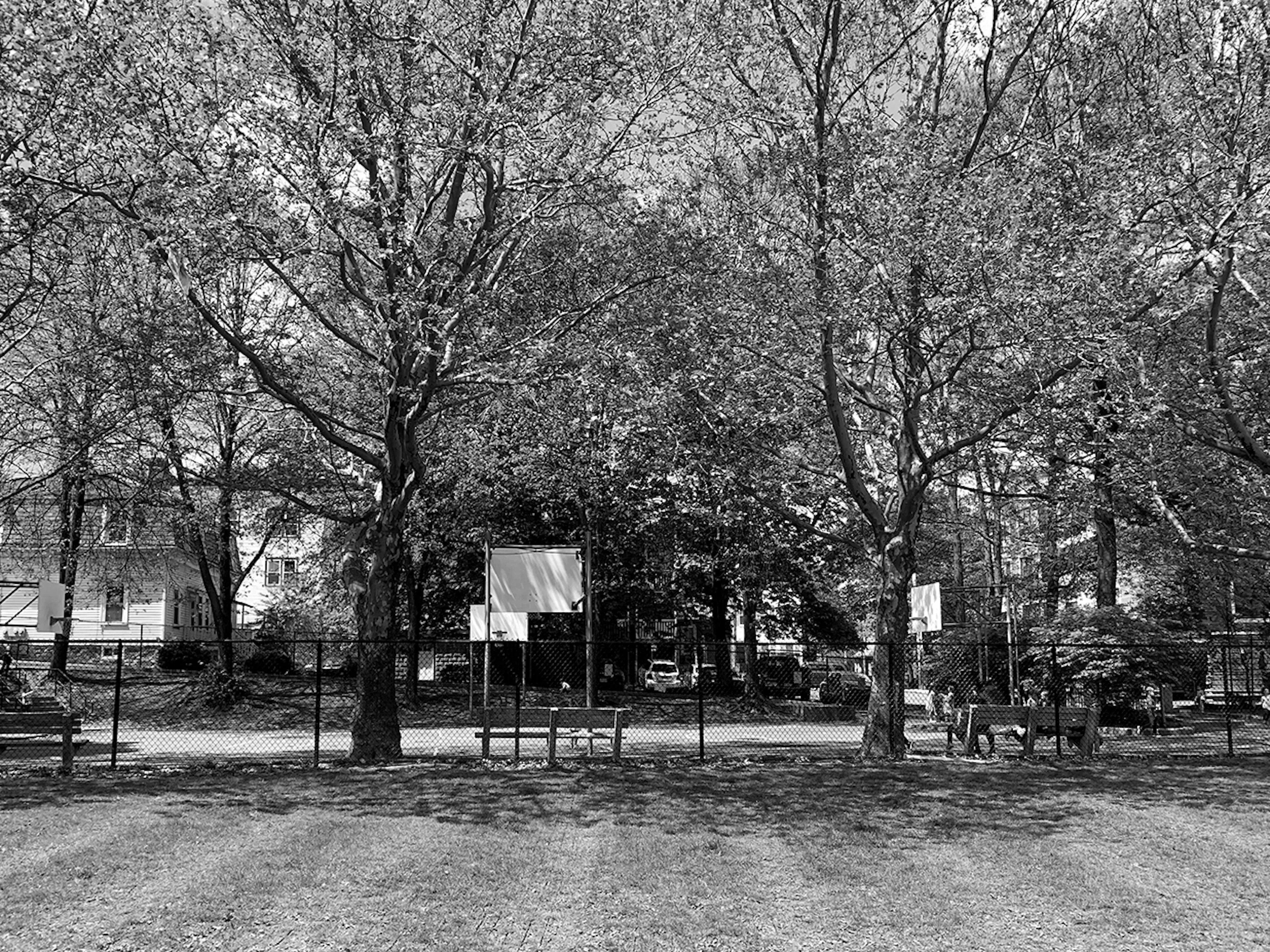 Boylston Street Residences — 7