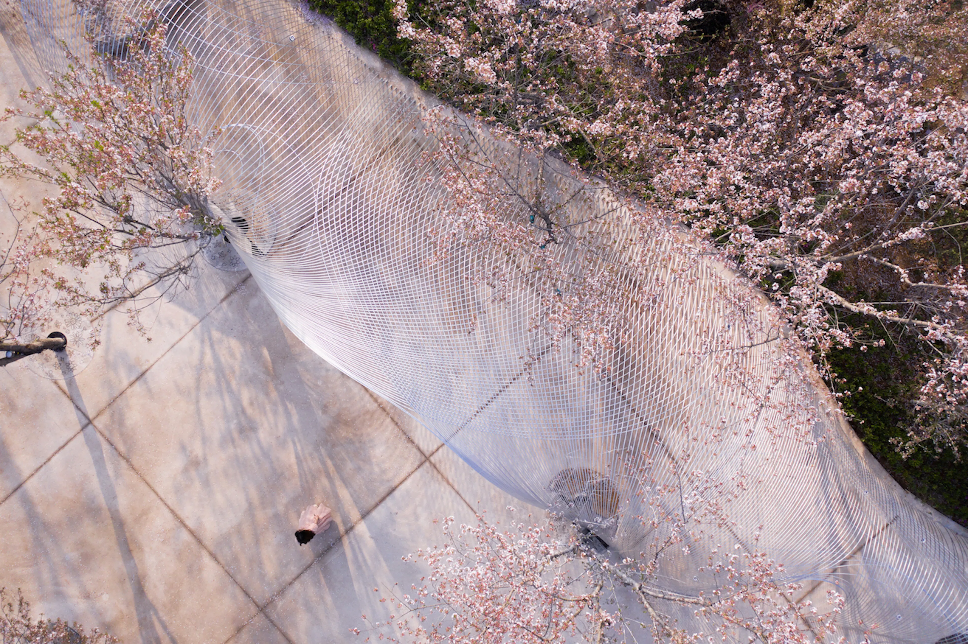 Boundless Theater of Egret Bay