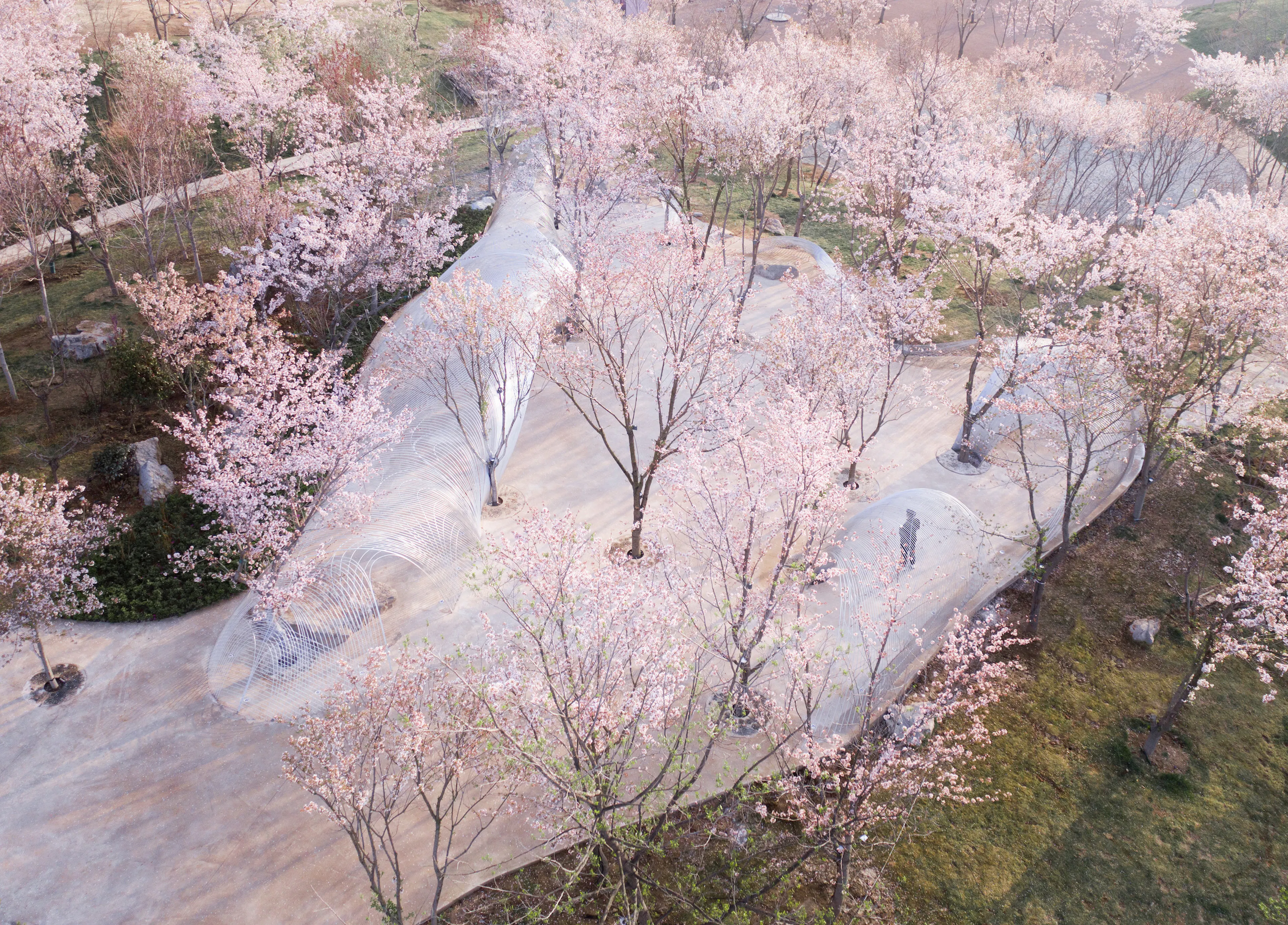 Boundless Theater of Egret Bay — 1