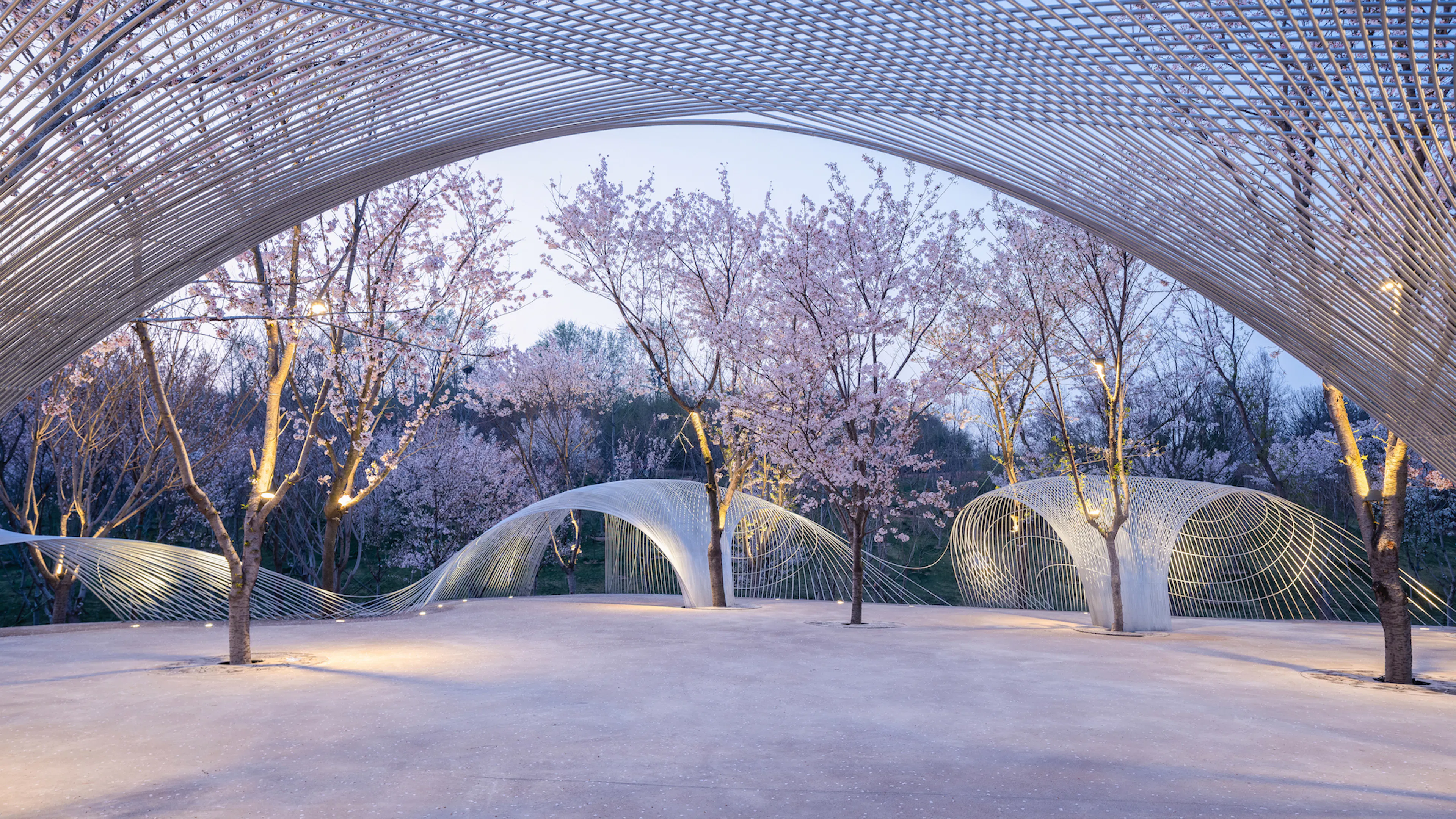 Boundless Theater of Egret Bay — 3