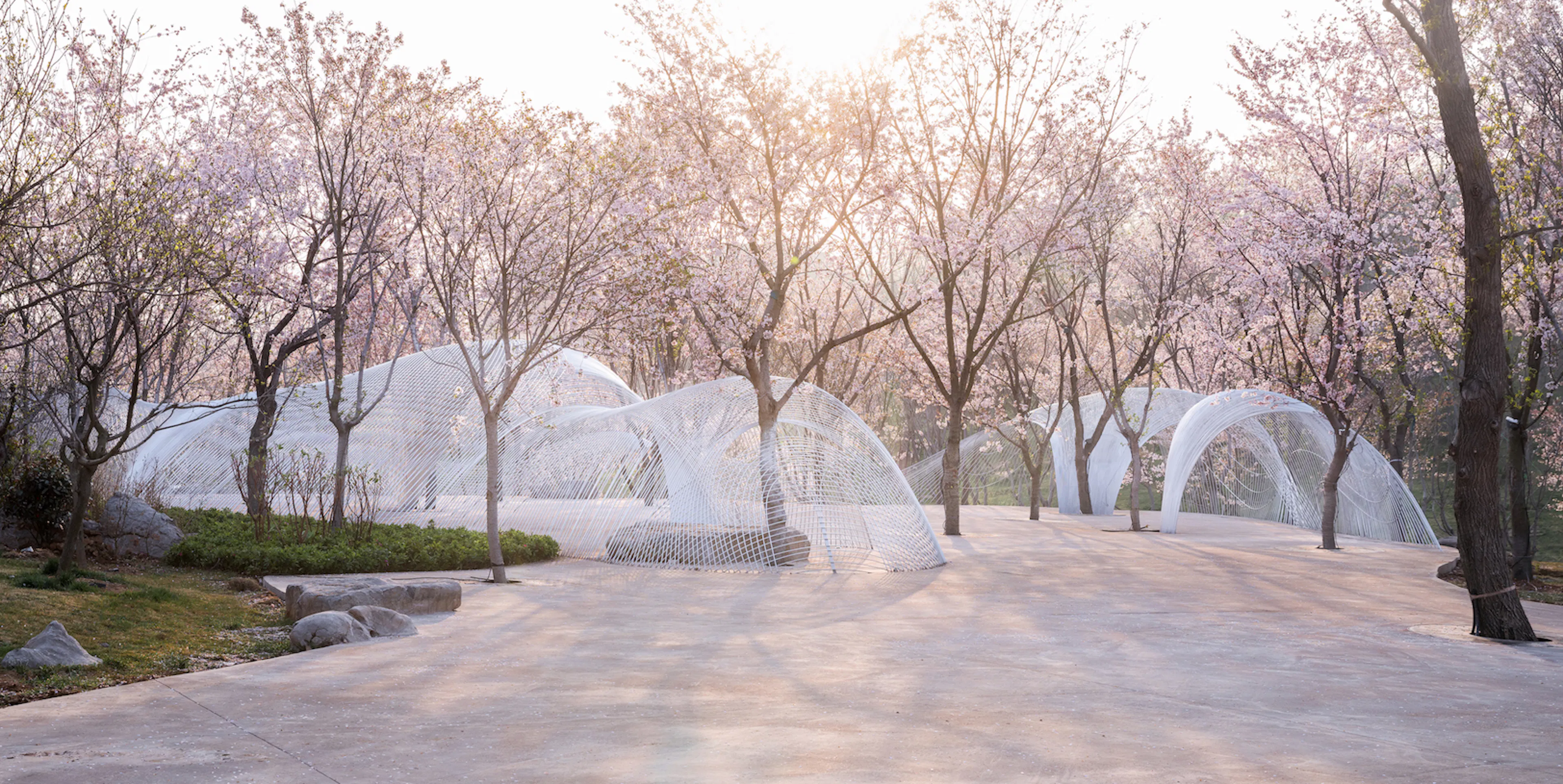 Boundless Theater of Egret Bay — 6