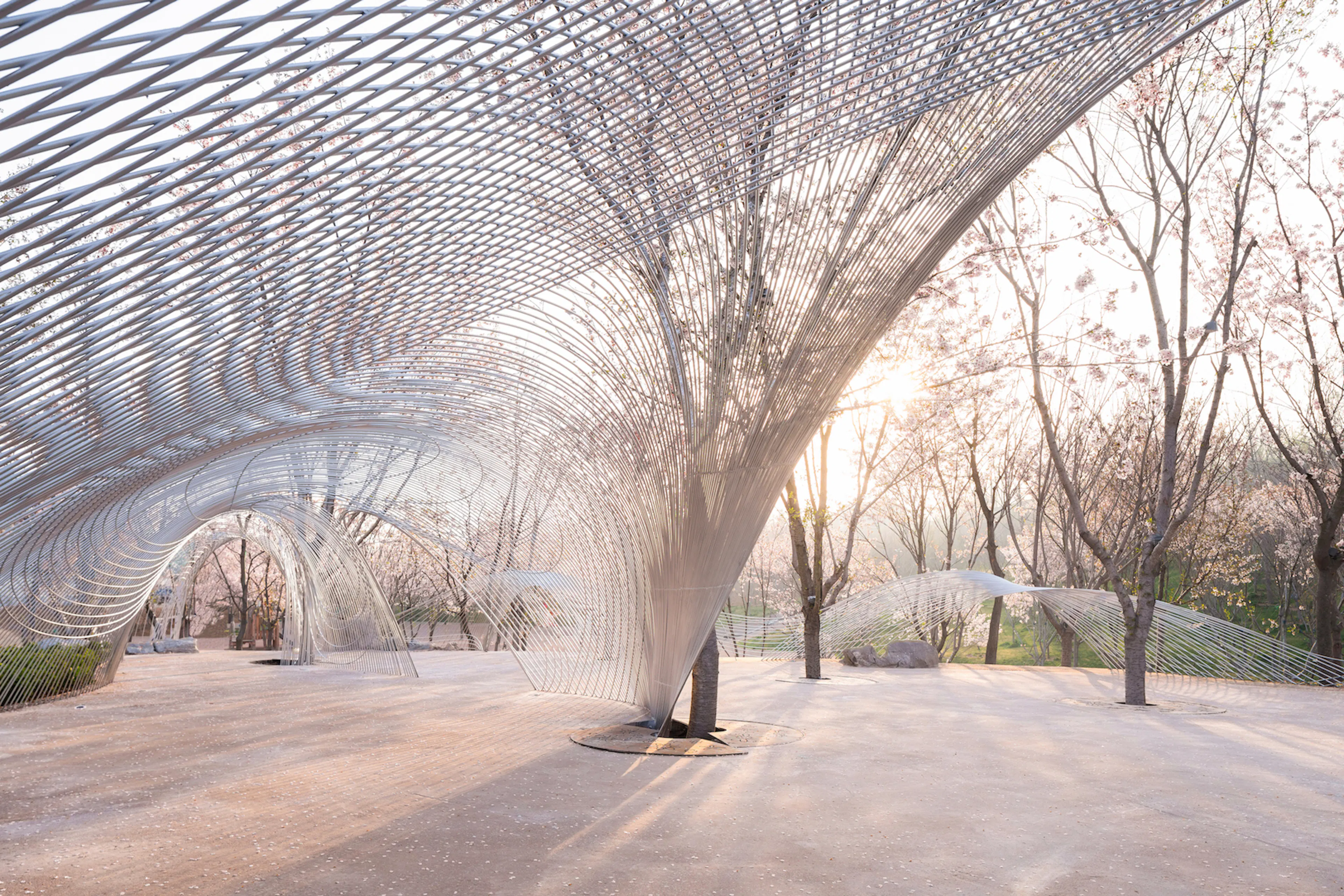 Boundless Theater of Egret Bay — 7