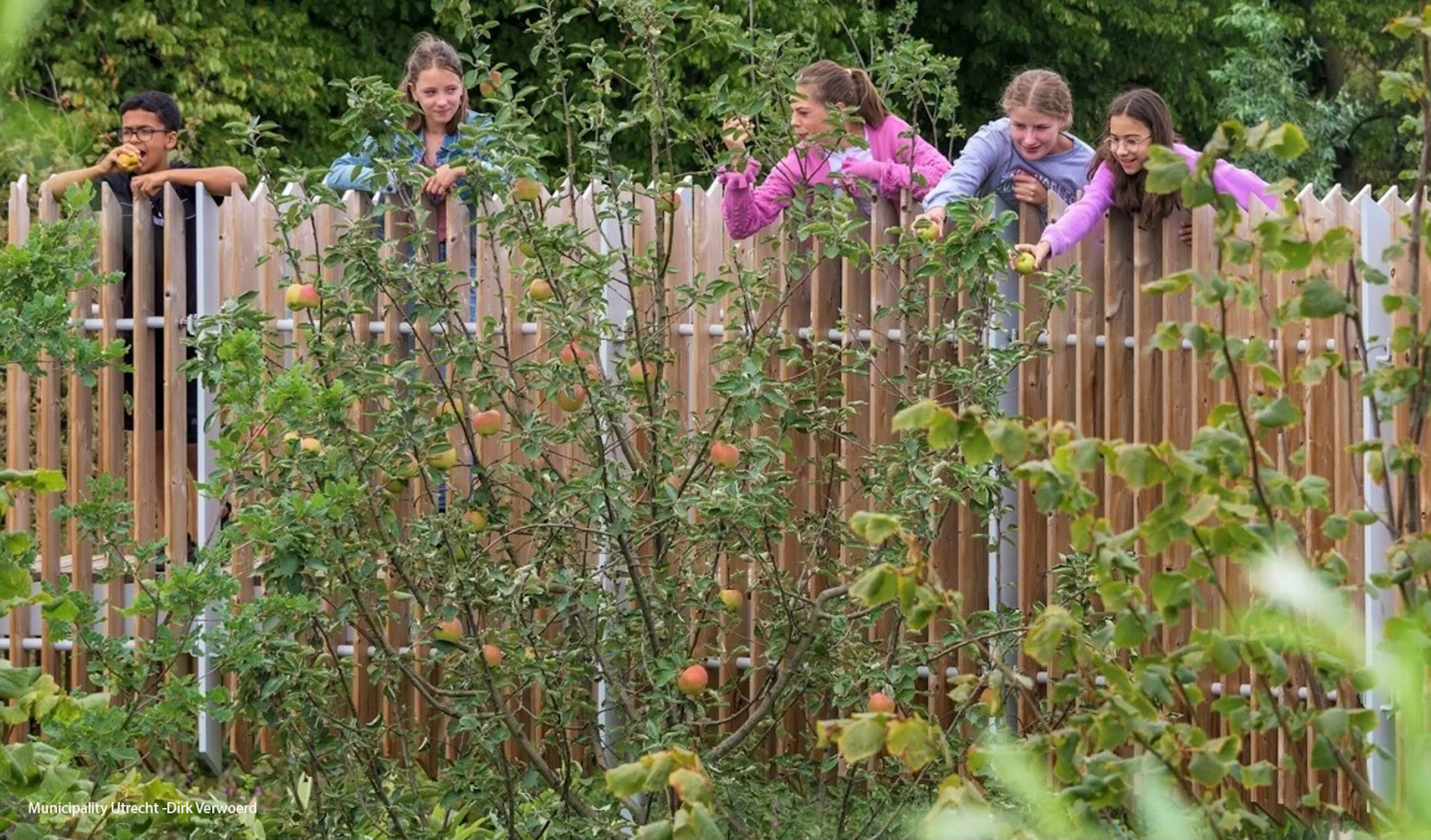 Rijnvliet Edible Neighborhood
