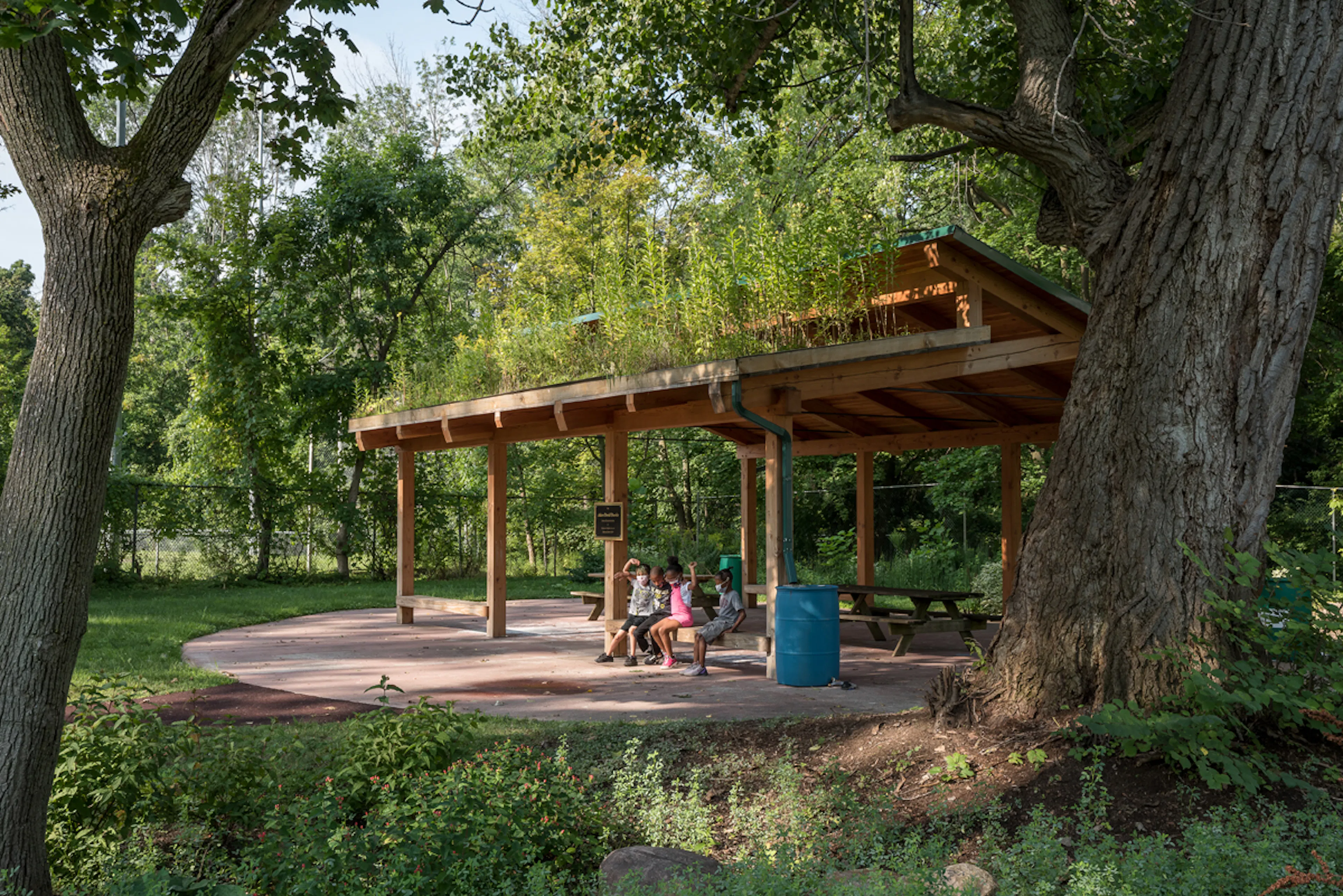 Backyard Community — 21