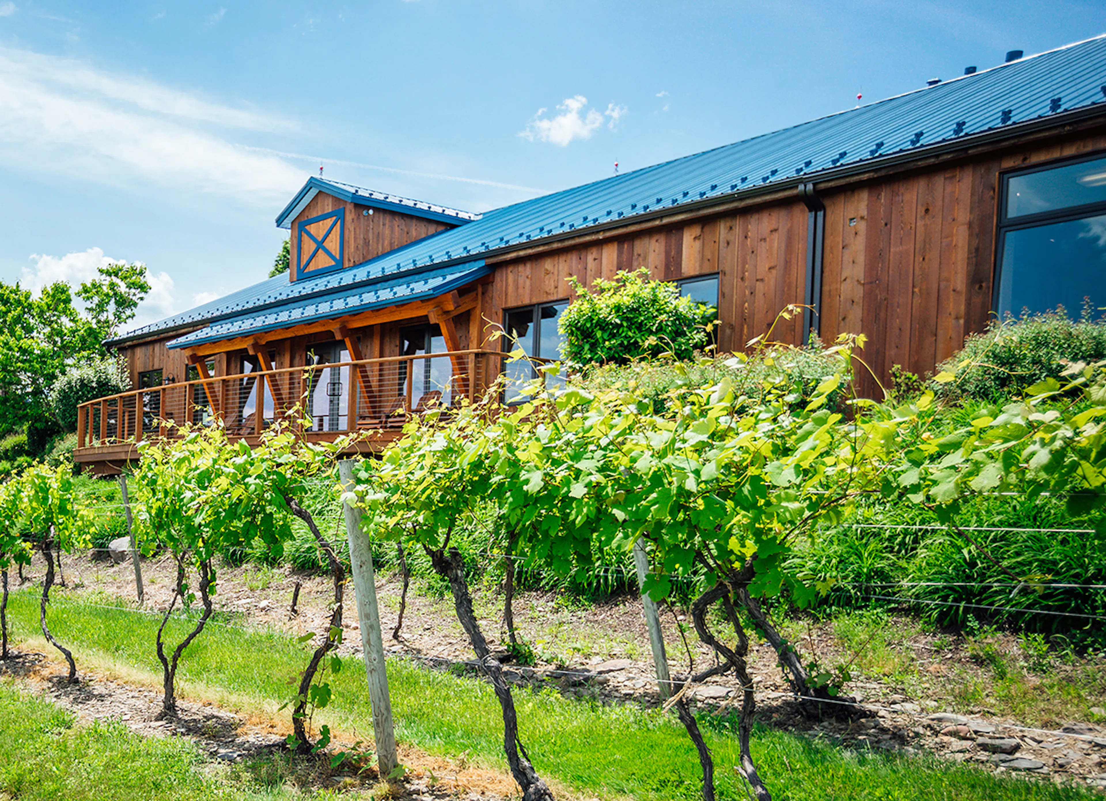 Backyard Community — 18