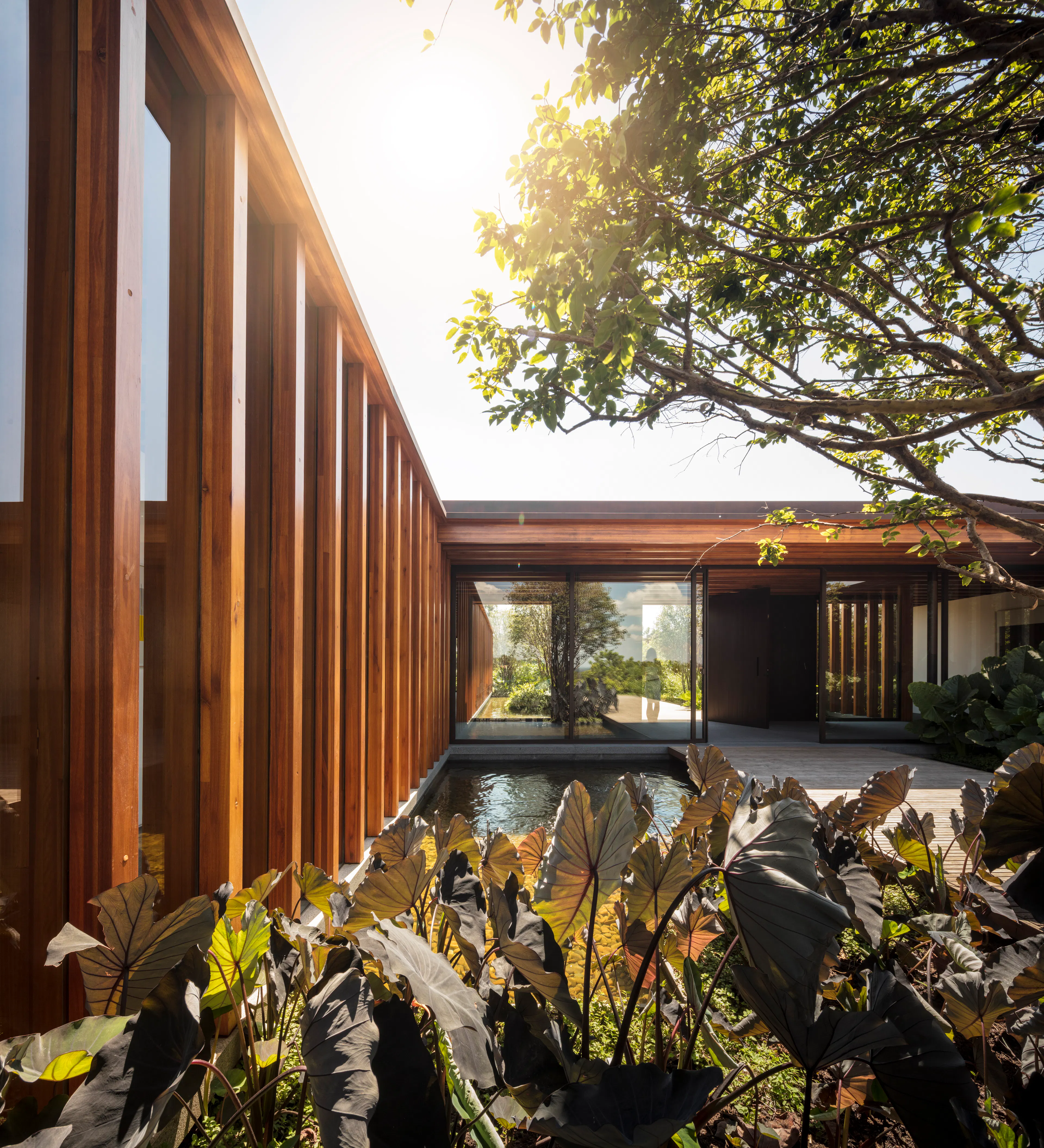 REN Apartment — 35