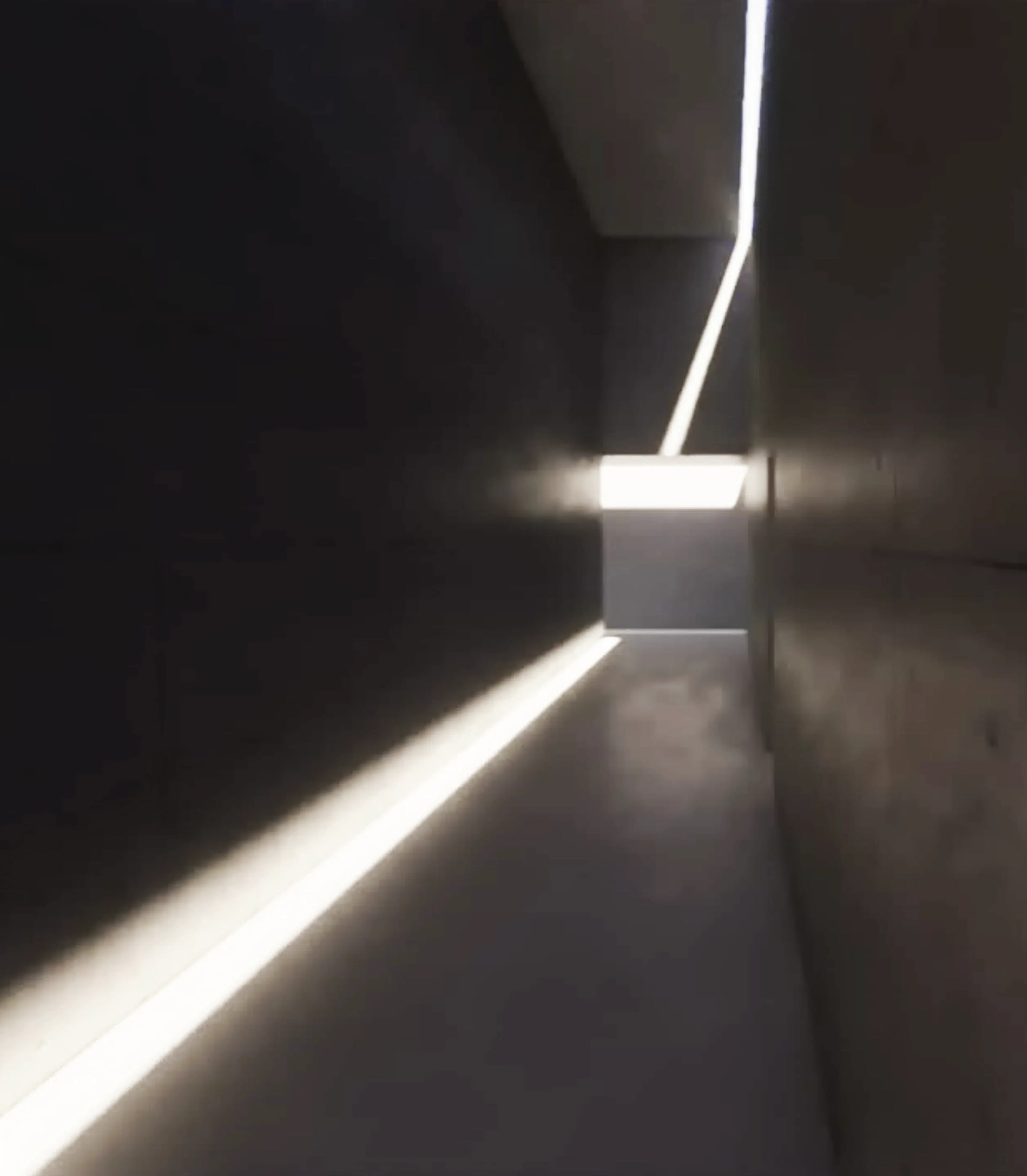 Stillness, Joshua Tree — 6