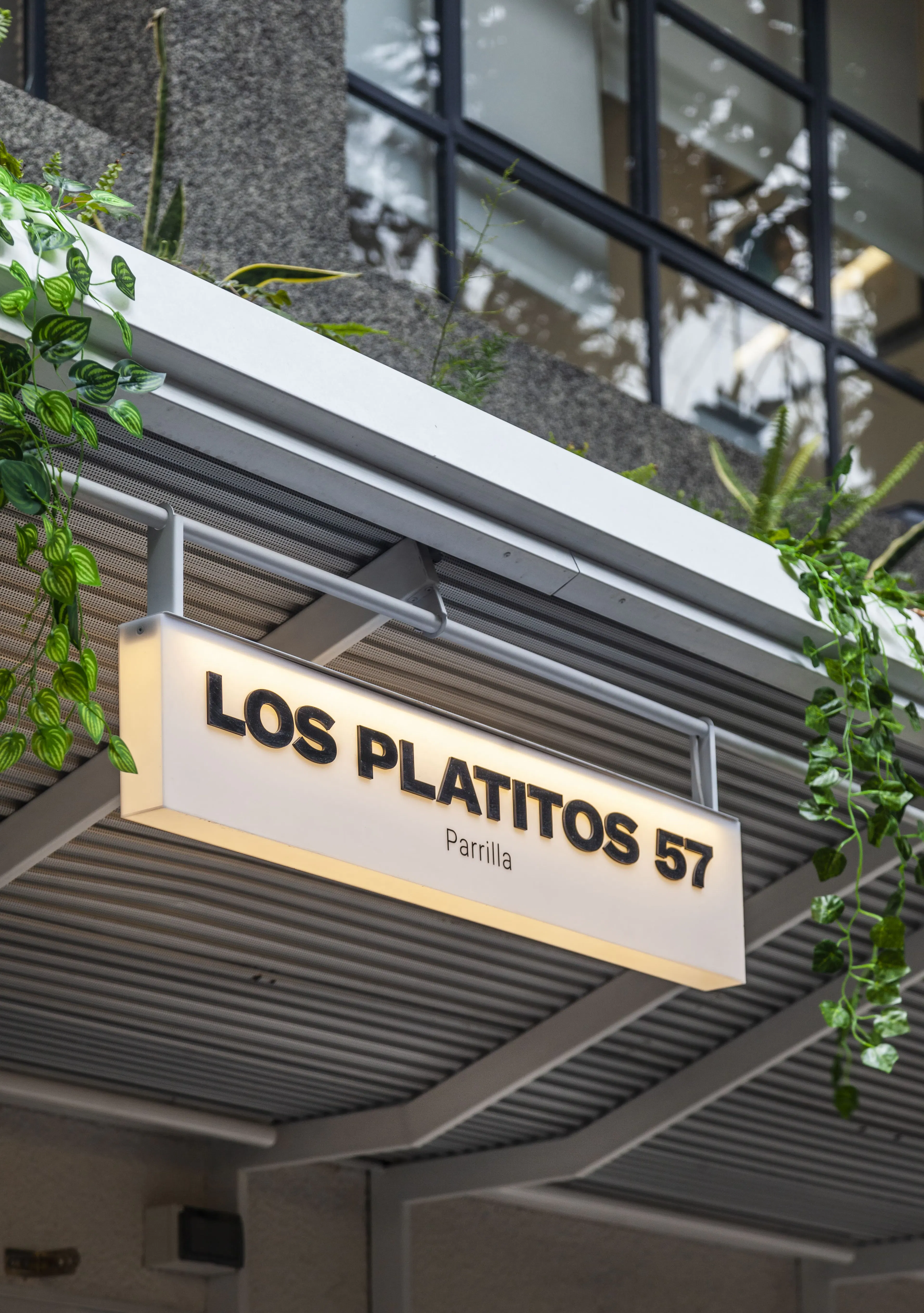 Manduca Market — 8