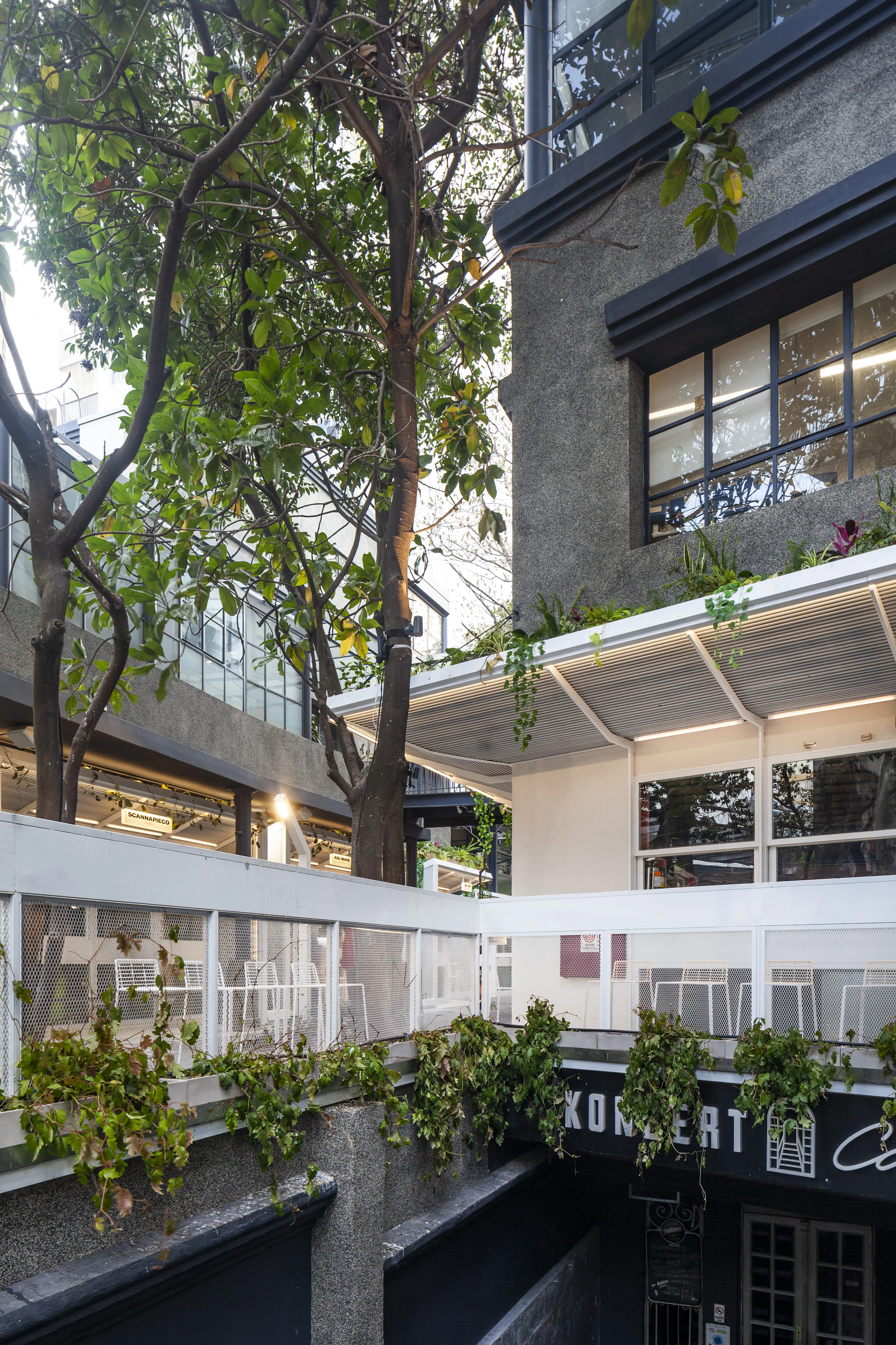 Manduca Market — 17