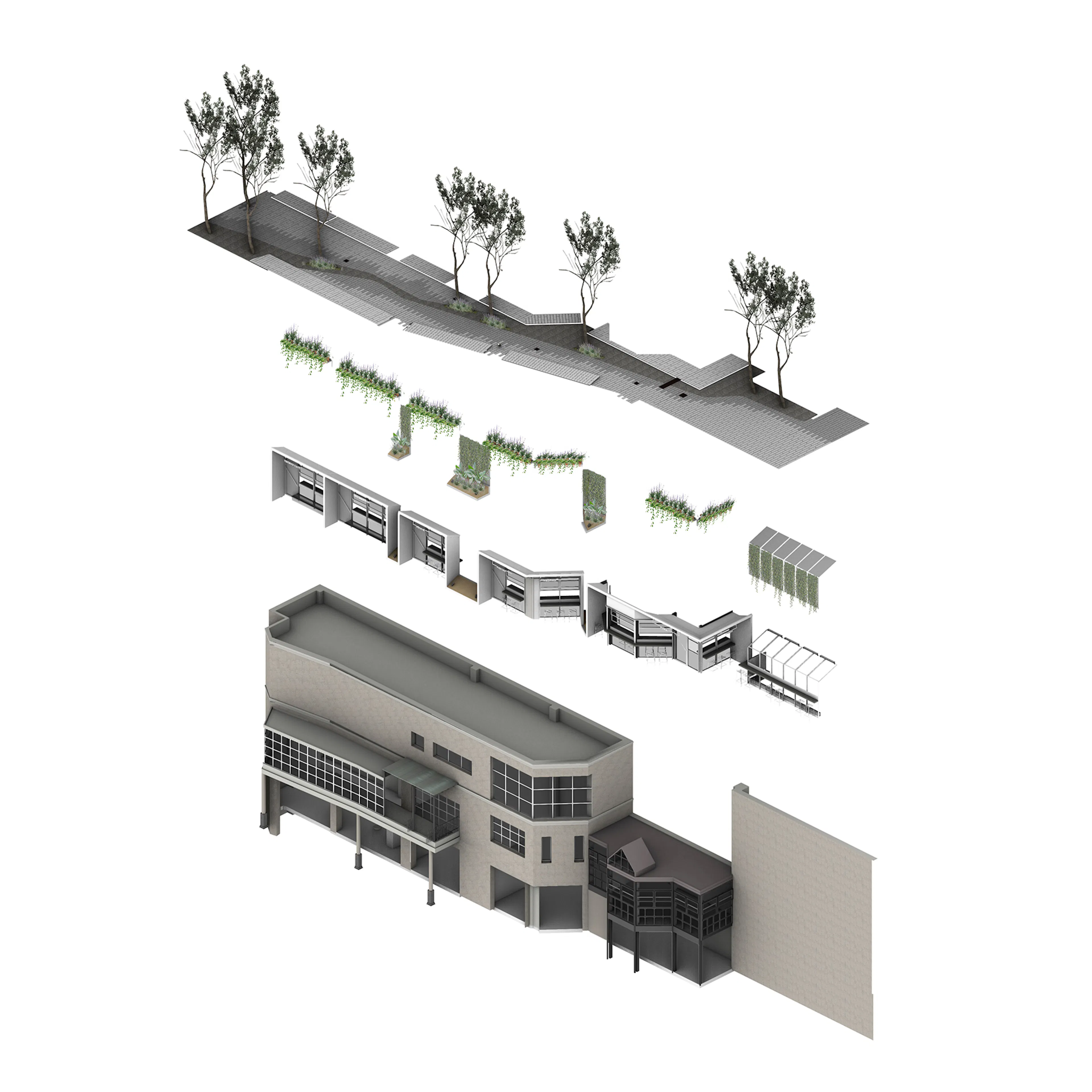 Manduca Market — 35