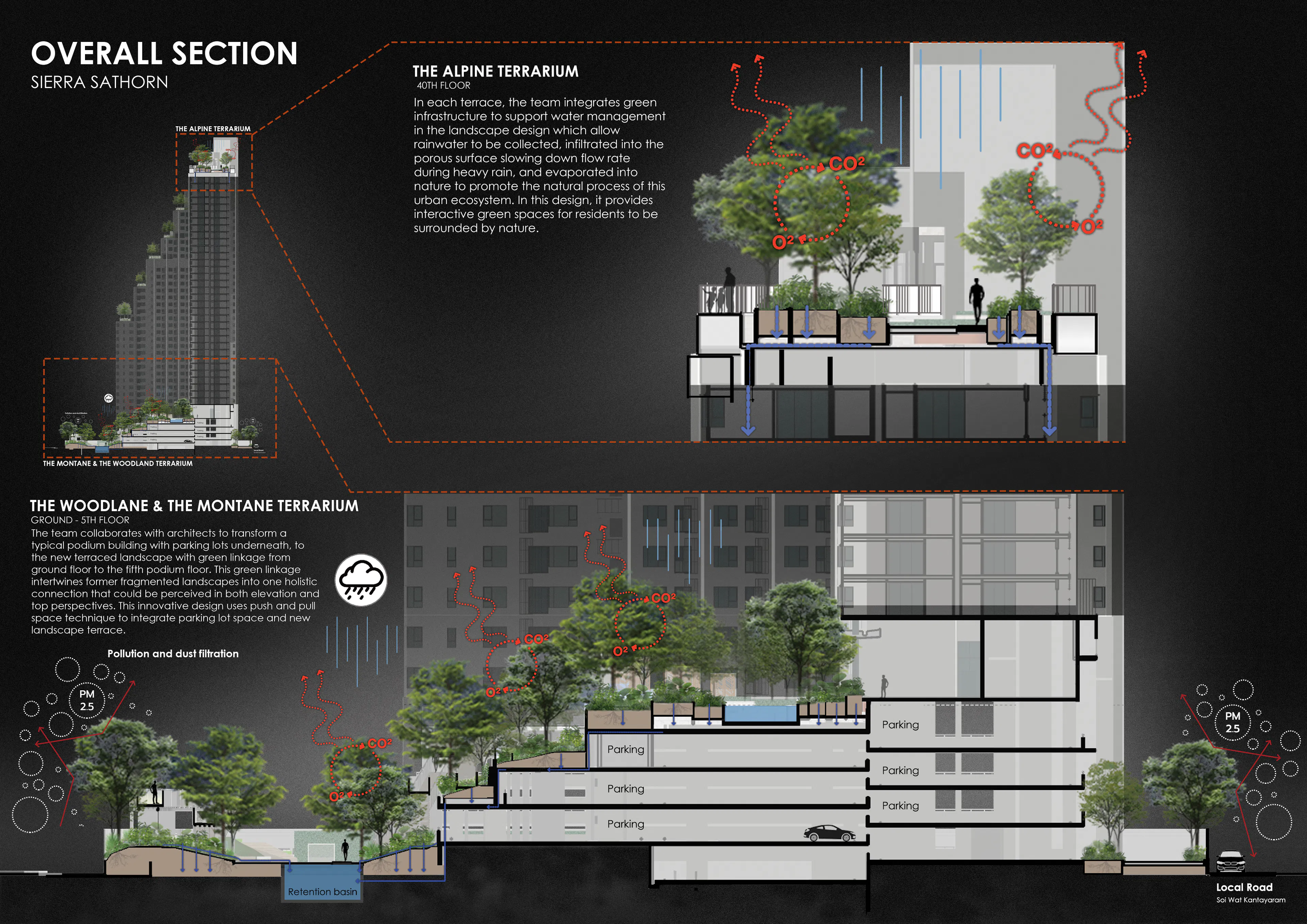 SIERRA SATHORN — 6