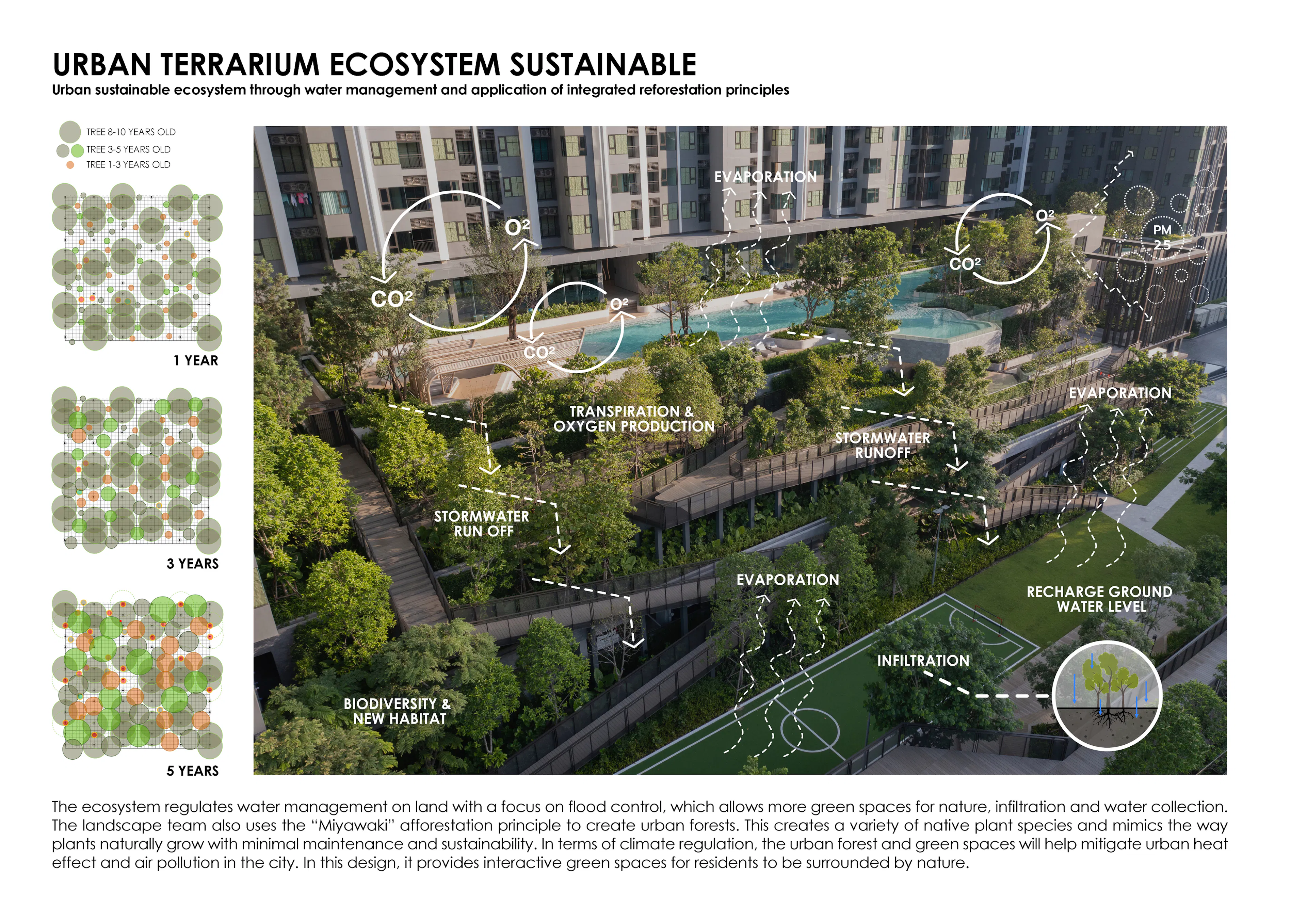 SIERRA SATHORN — 17