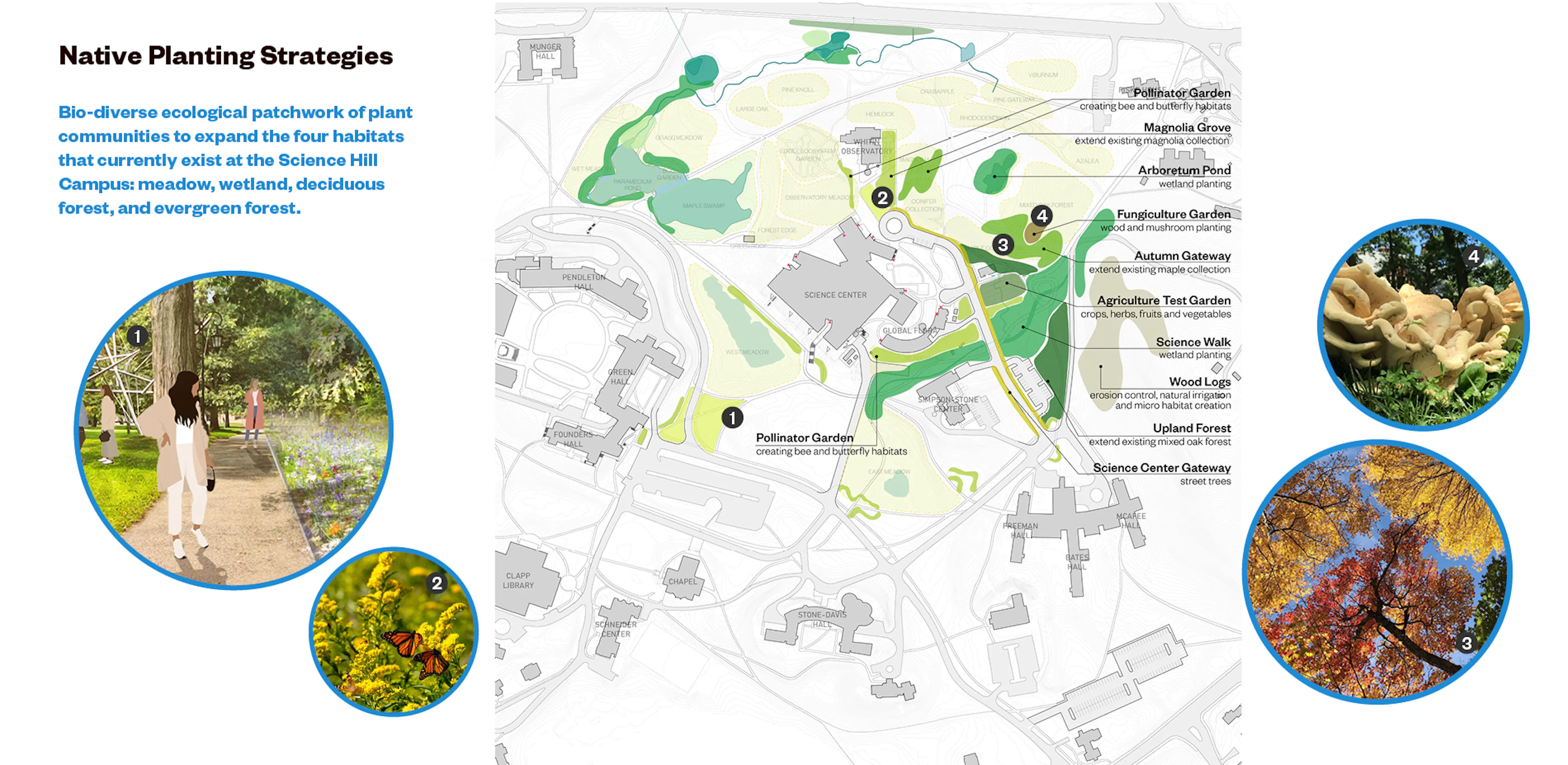 Wellesley Science Hill — 11