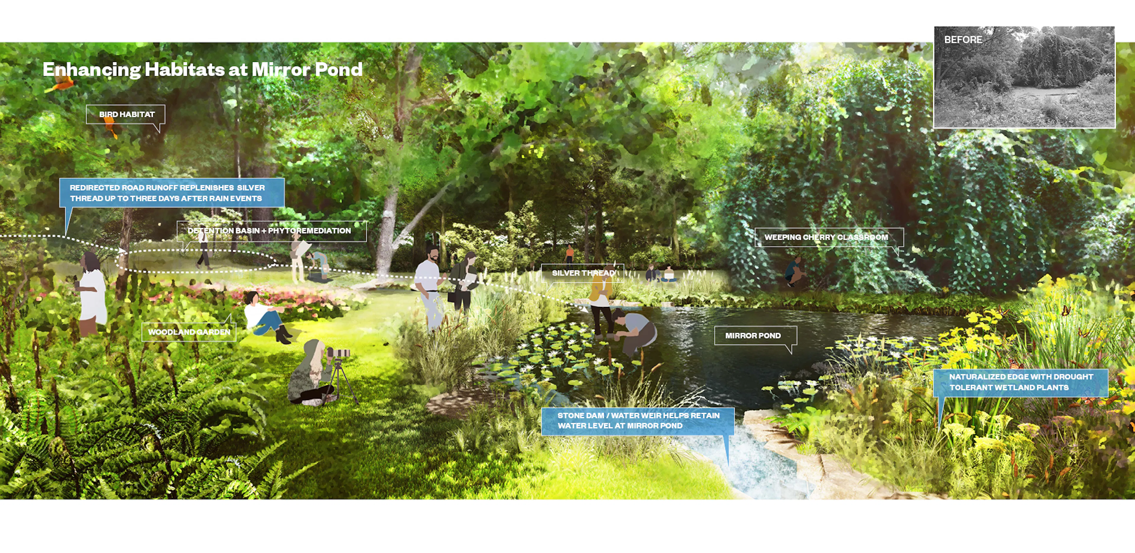 Wellesley Science Hill