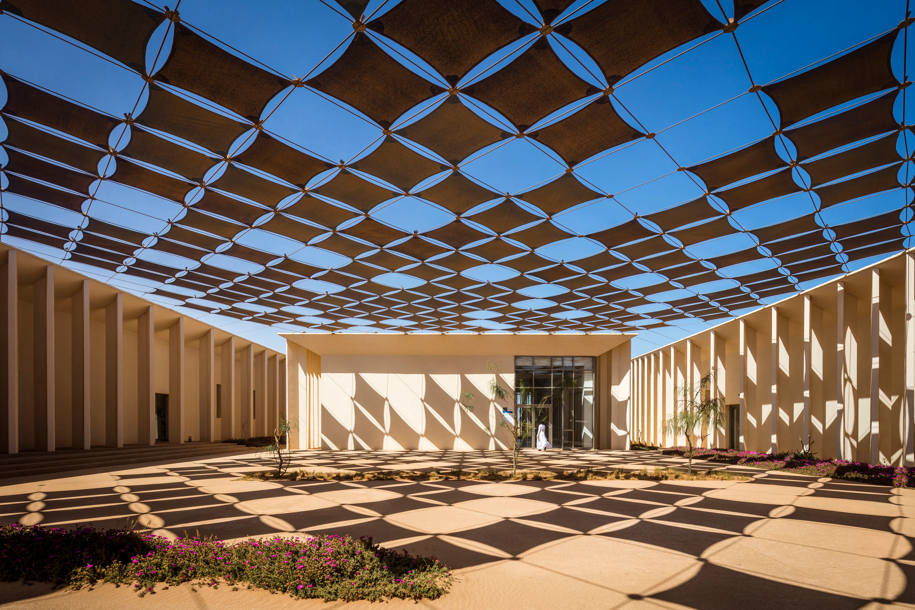 The A.S.A.R.I. — 2