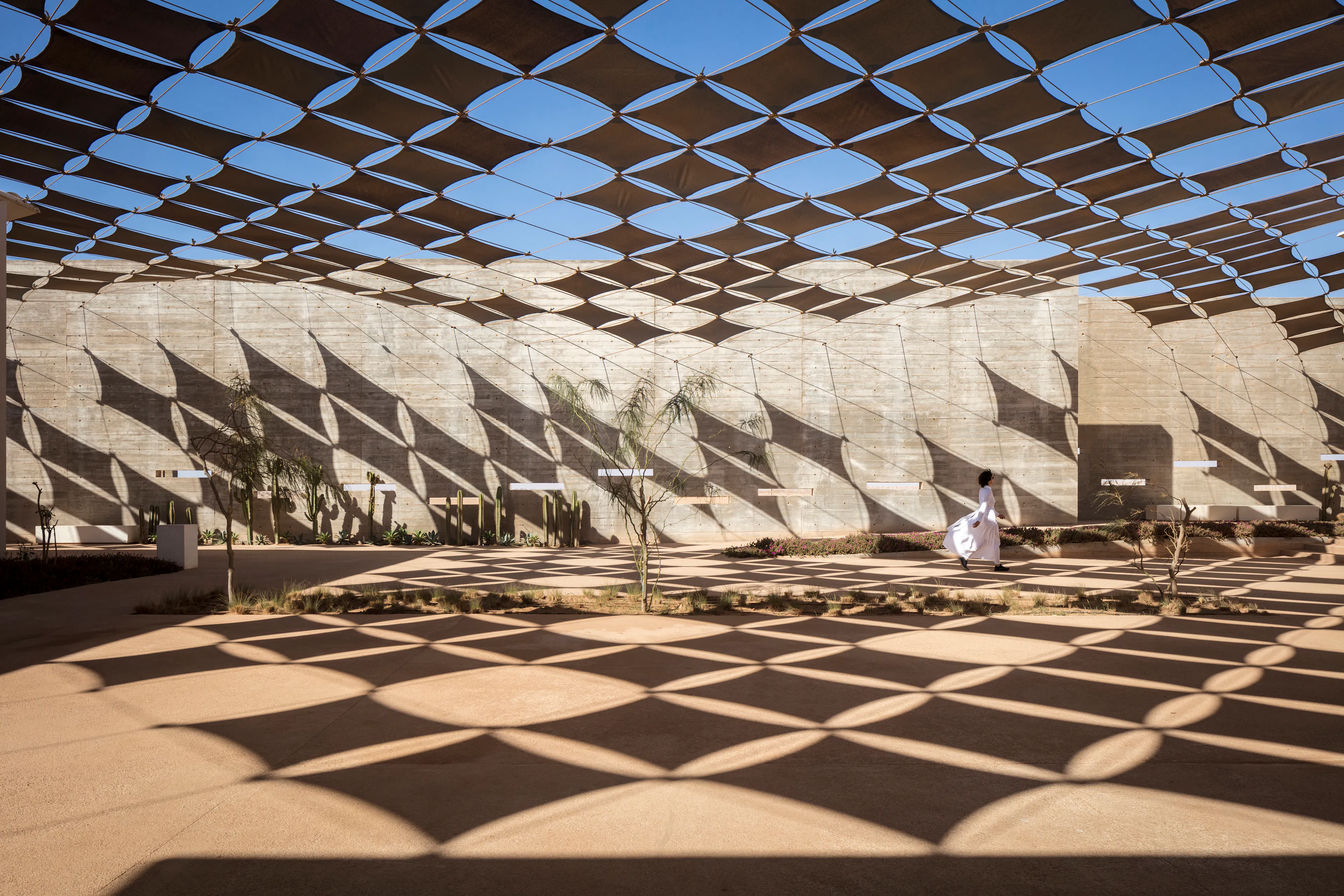 The A.S.A.R.I. — 3