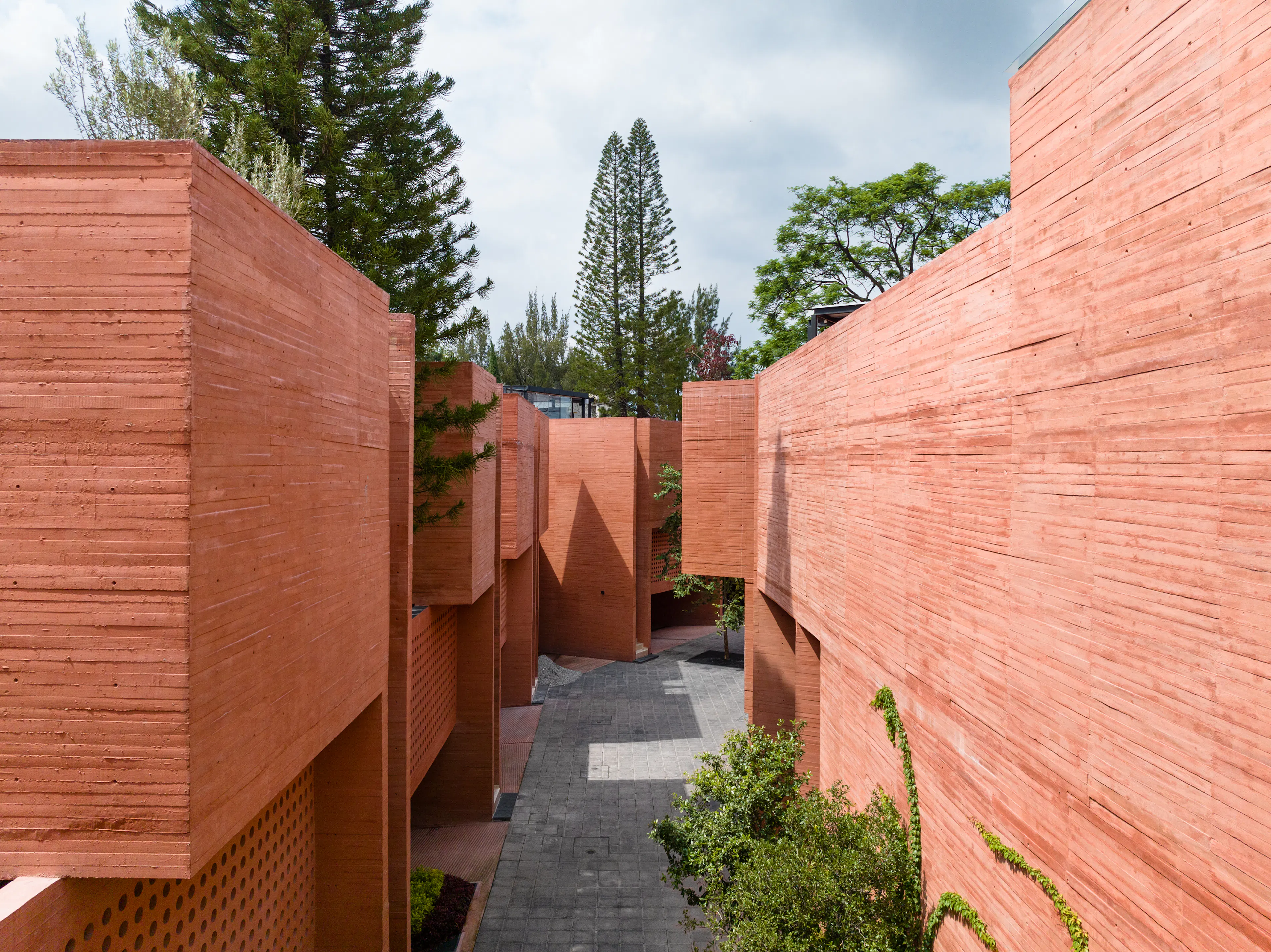 Real de los Reyes — 7