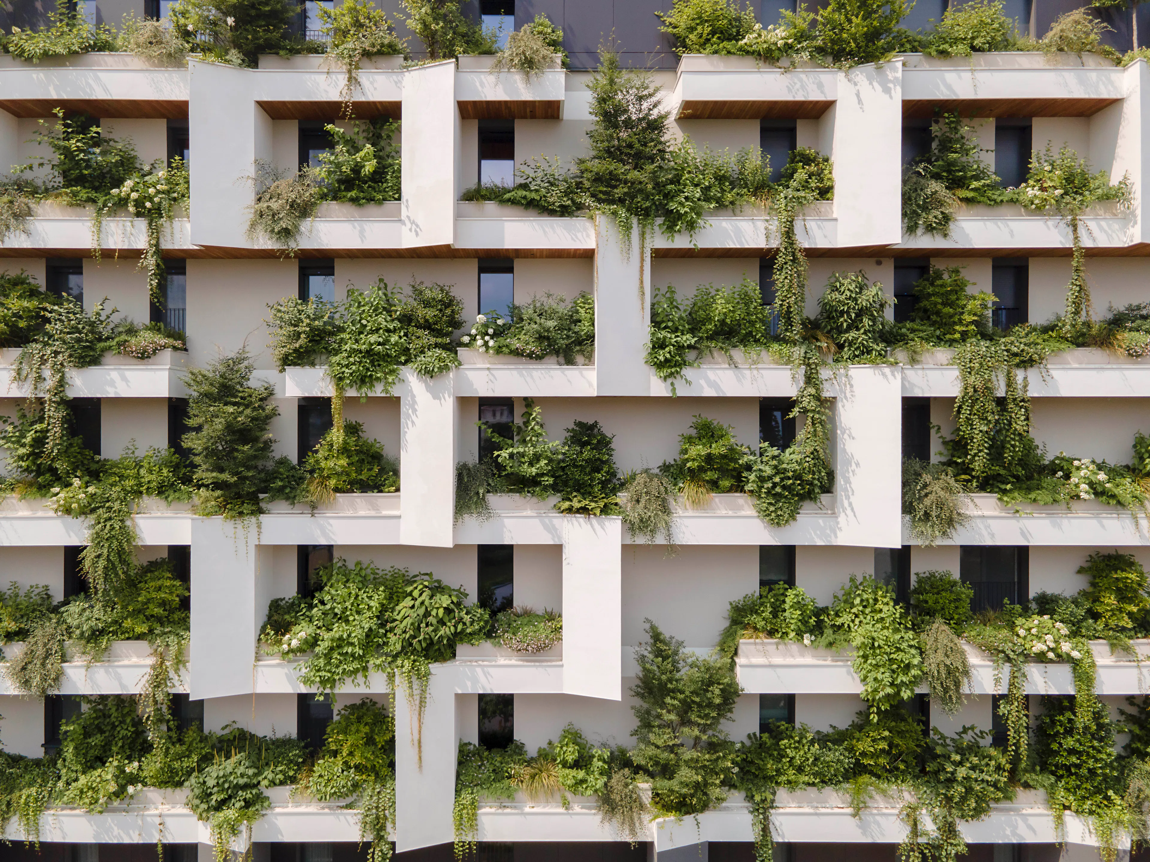 Ca' delle Alzaie — 3