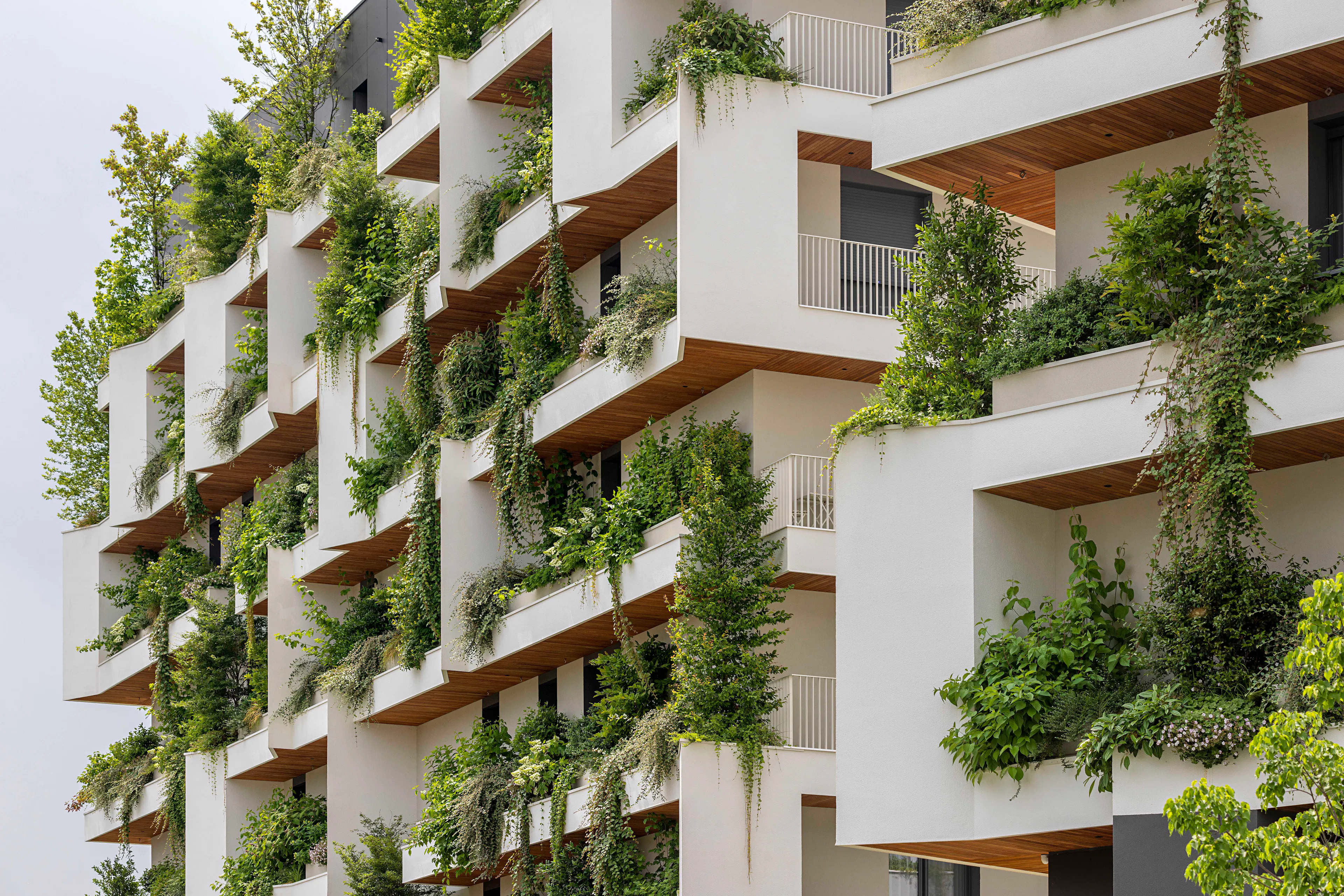 Ca' delle Alzaie — 4