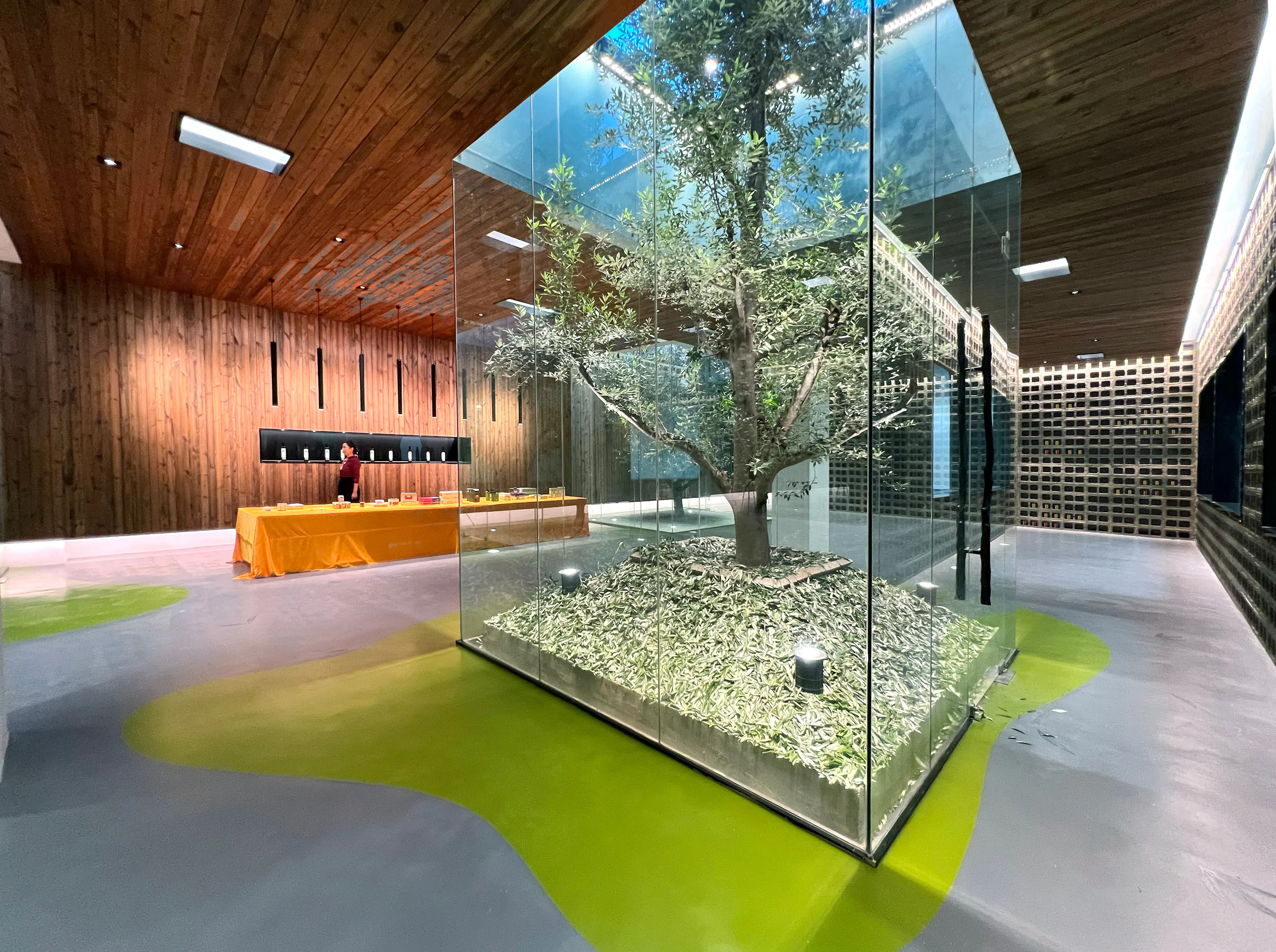 Lijiang olive oil factory - a journey between the form and formless — 1